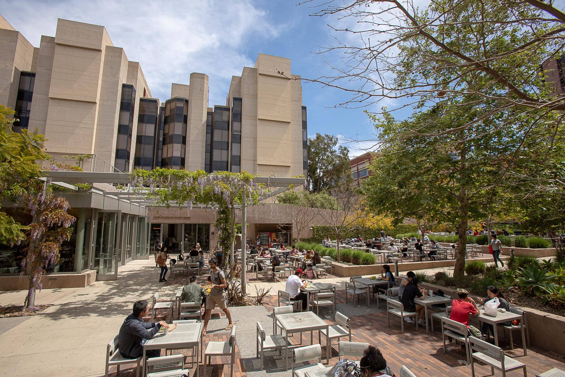 ucla 桌布 壁紙 — 人們在陽光普照的日子裡，在樹木和現代米色建築下的戶外餐桌旁放鬆。