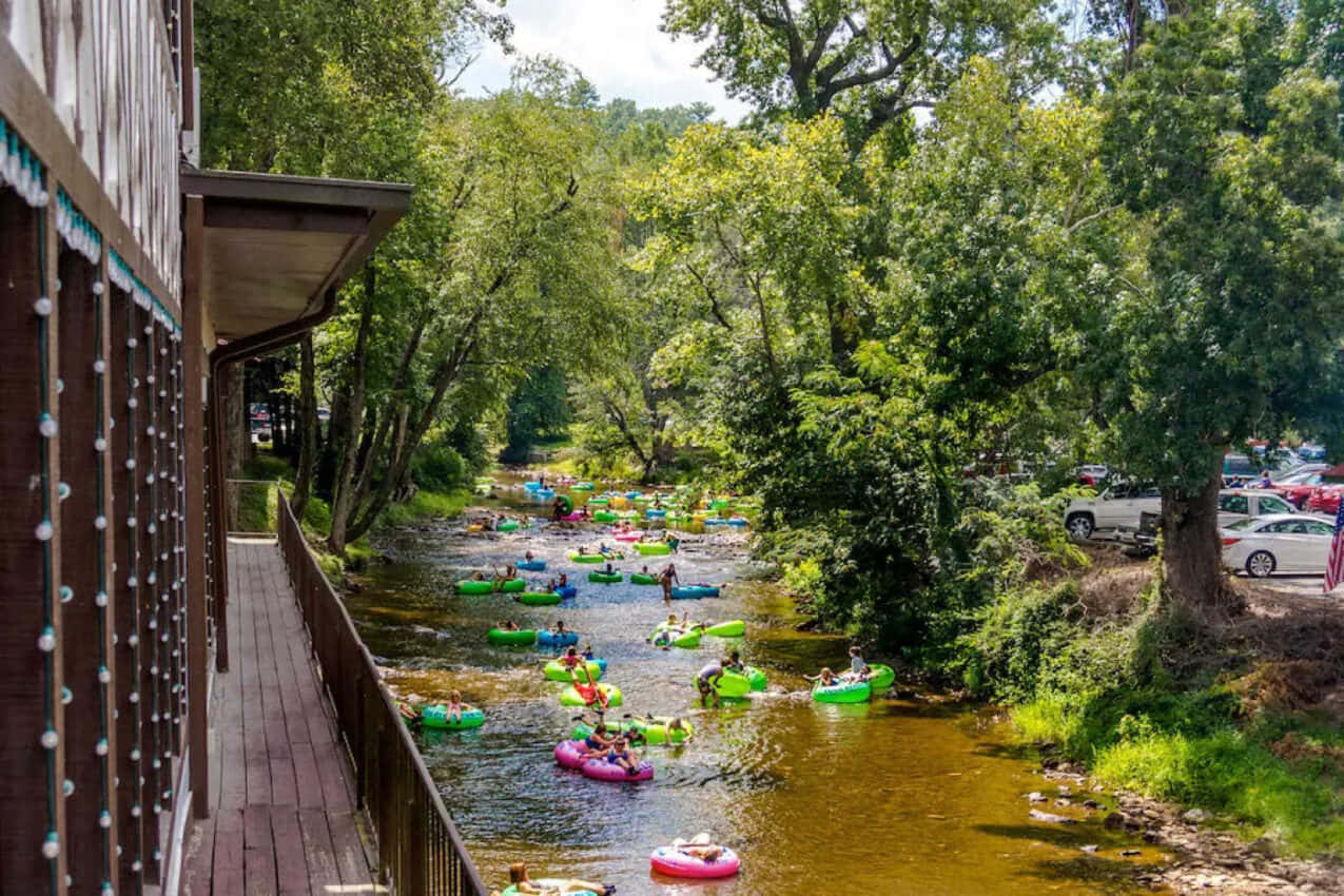 river 桌布 壁紙 — 人們在陽光照耀的河流上，乘坐色彩繽紛的浮圈漂流，周圍是茂密的綠樹和木製甲板。