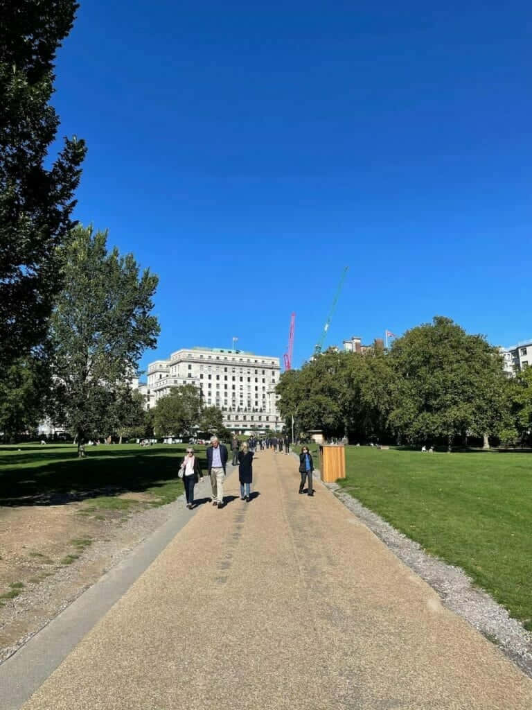 Road 桌布 壁紙 — 人們在陽光照耀的碎石路上漫步，穿過鬱鬱蔥蔥的公園，天空湛藍，遠處可見建築物和起重機。