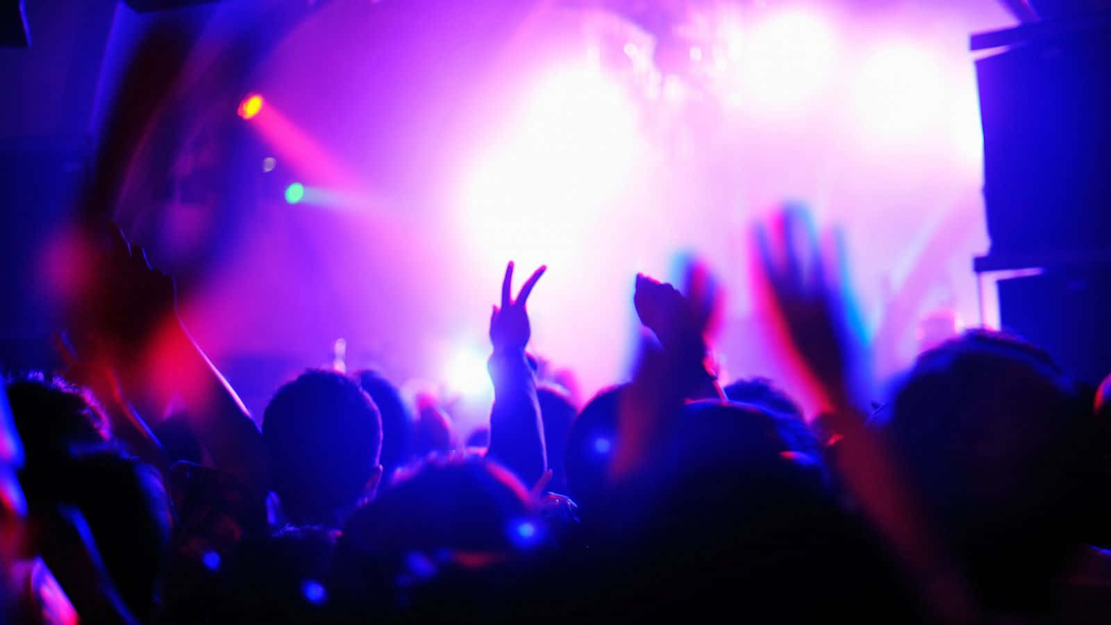 Club Party 桌布 壁紙 — 人群剪影在現場音樂會的鮮豔紫色和藍色舞台燈光下舉起雙手。
