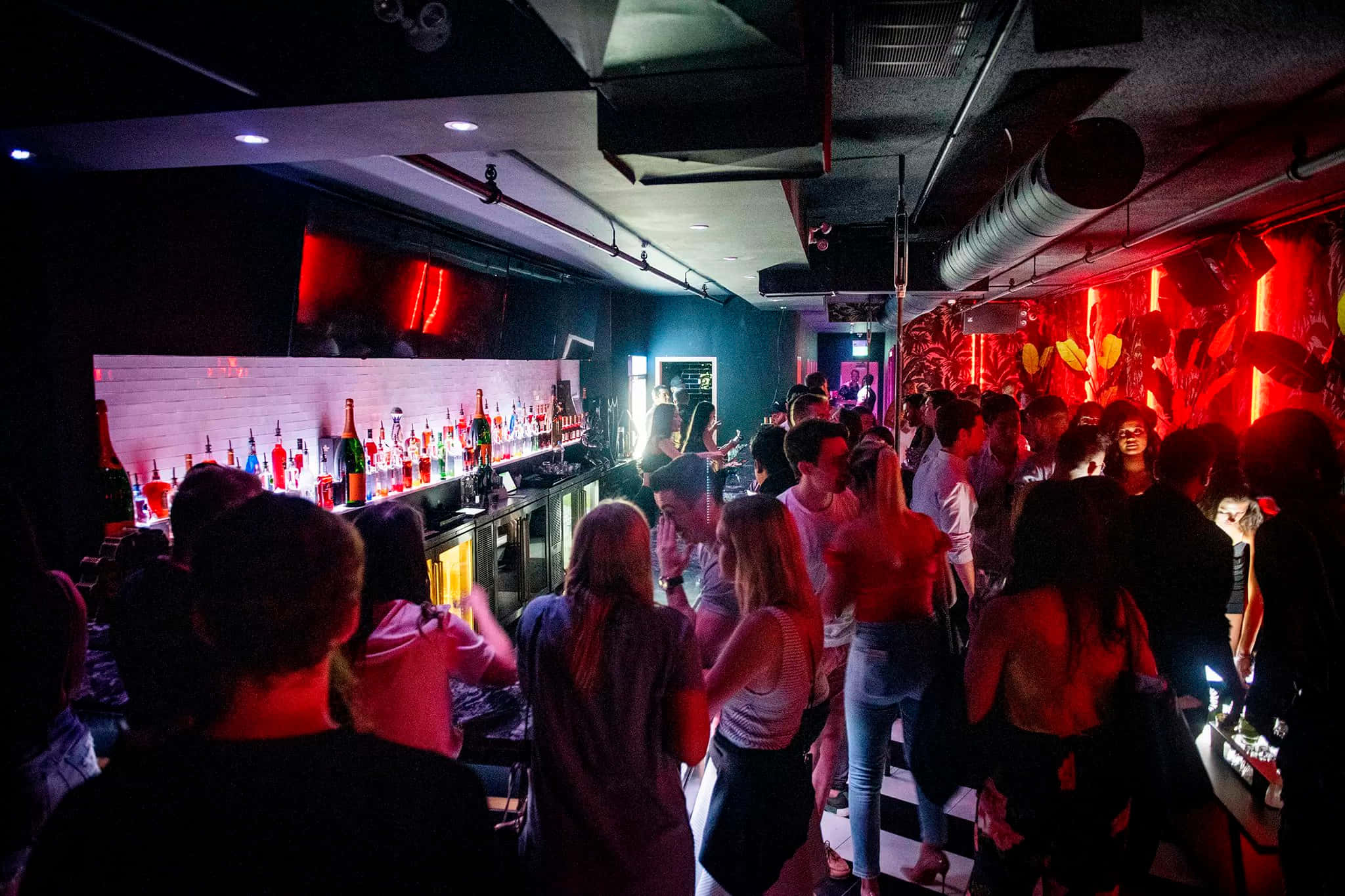 club 桌布 壁紙 — 人群在昏暗的夜總會中，在脈動的紅光下跳舞，旁邊是一條擺滿彩色酒瓶的長吧檯。