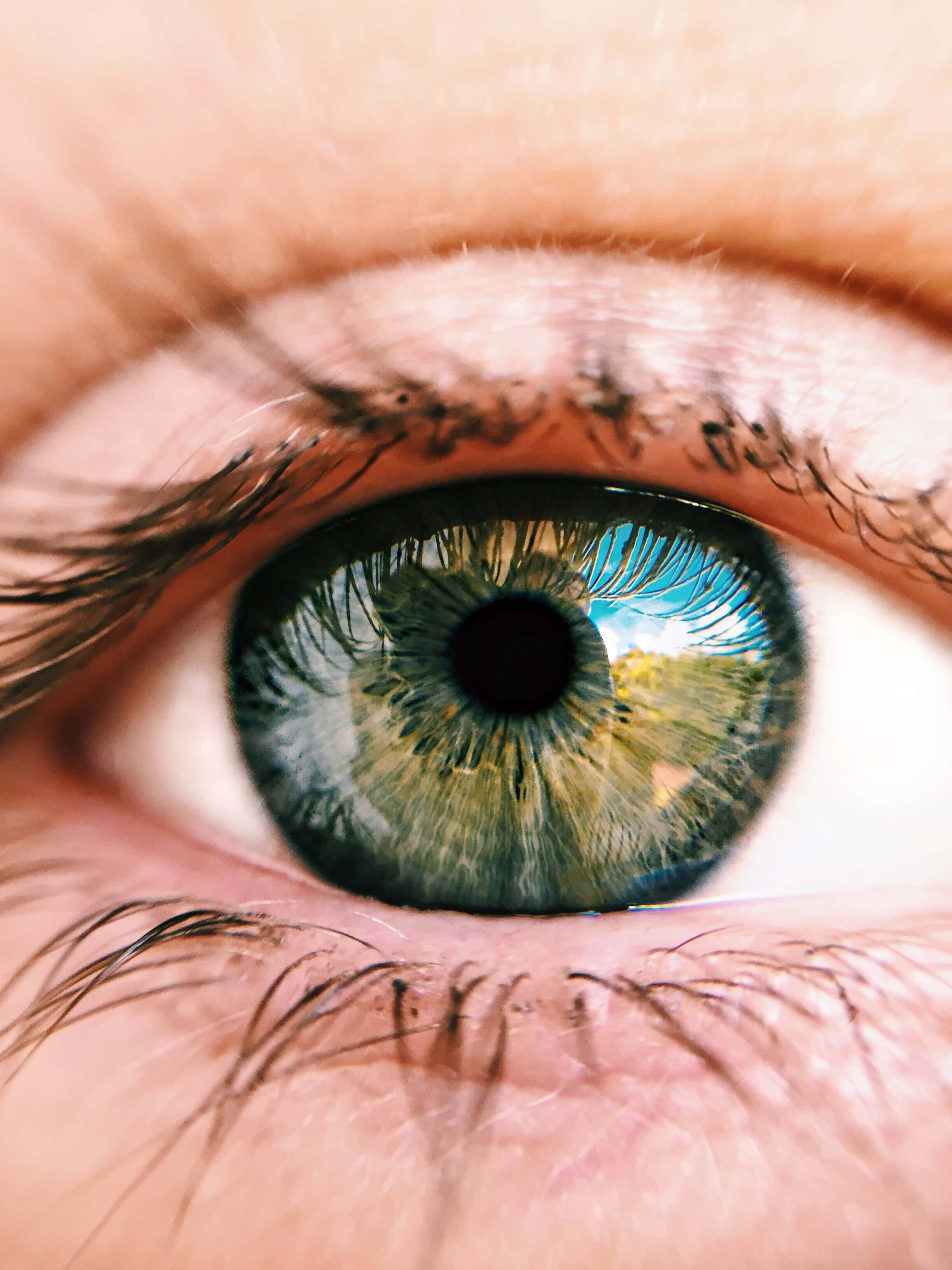 Eye 桌布 壁紙 — 人類眼睛極端特寫，綠色虹膜反射明亮藍天和黃色風景。