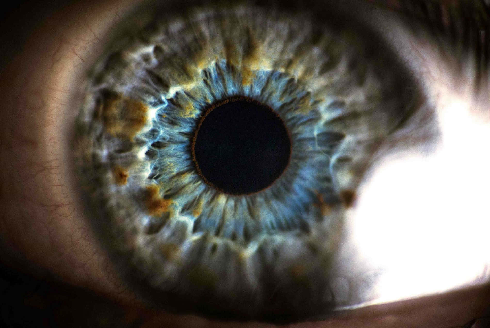 Eyeball 桌布 壁紙 — 人類眼睛的極端特寫，帶有複雜的藍色、綠色和金色虹膜圖案，右側有明亮的光暈。