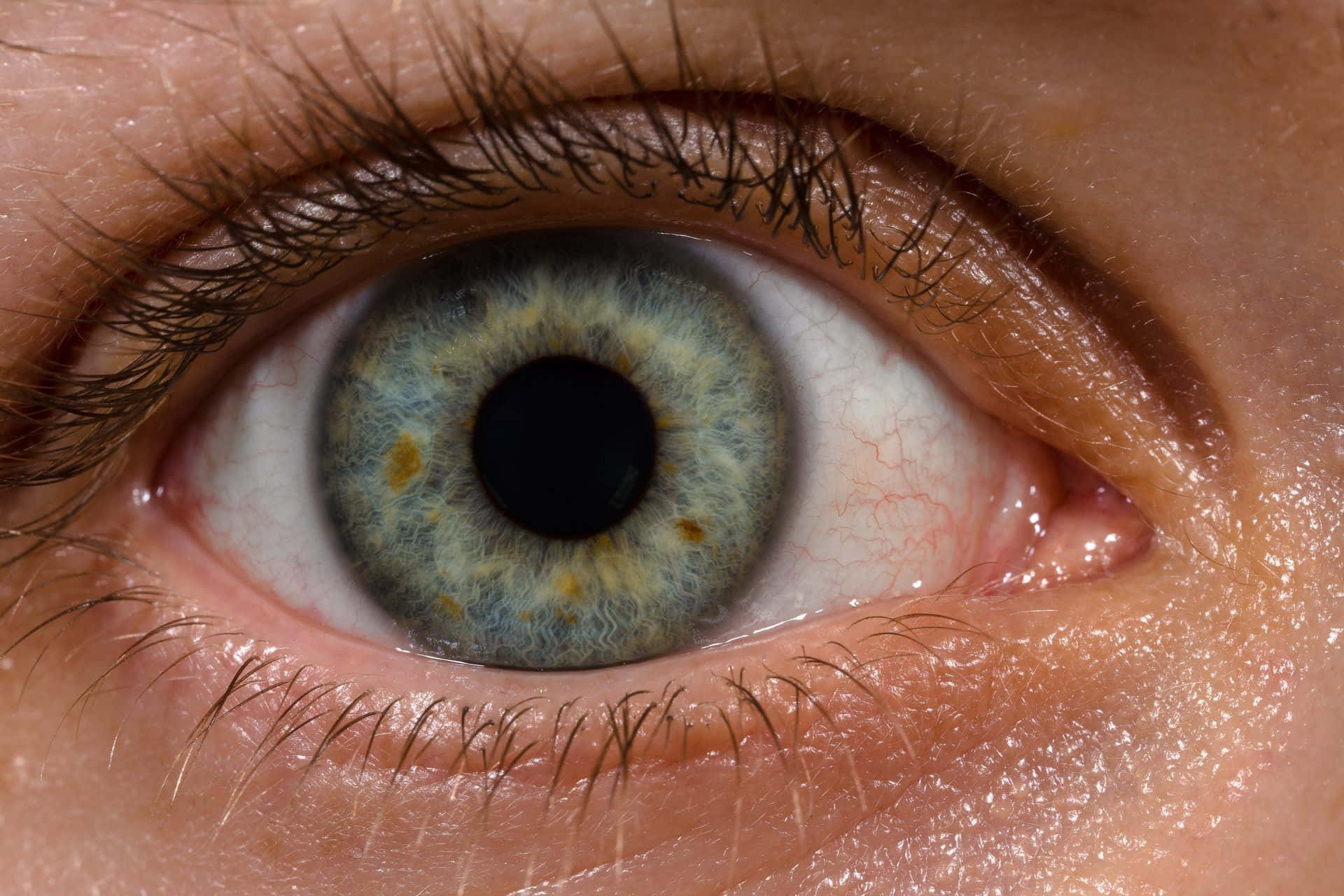 Eyes 桌布 壁紙 — 人類眼睛的極端特寫，帶有複雜的藍綠色虹膜和白色鞏膜中可見的血管。