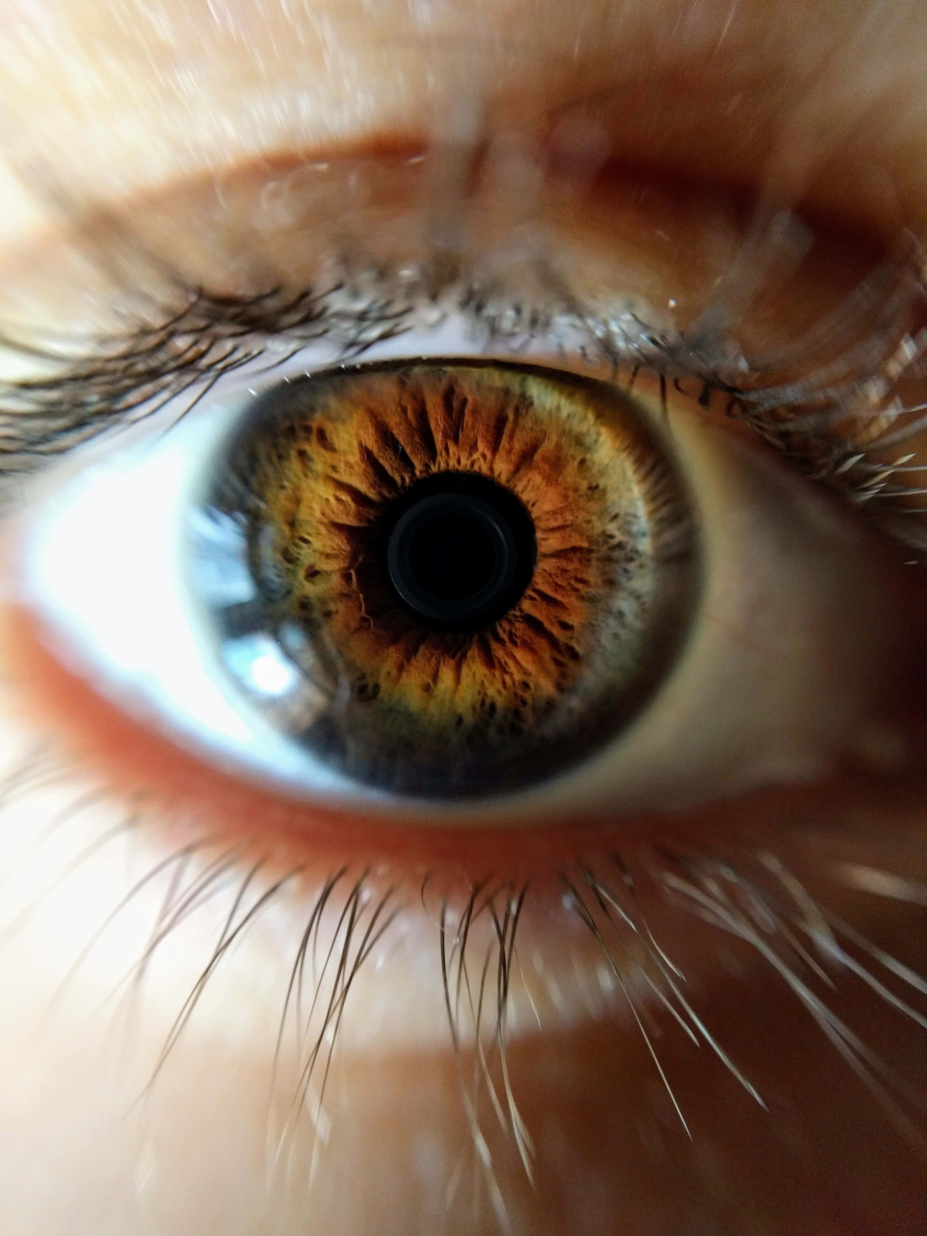 Eyes 桌布 壁紙 — 人類眼睛的極端特寫，帶有複雜的金棕色虹膜圖案和細緻的睫毛。