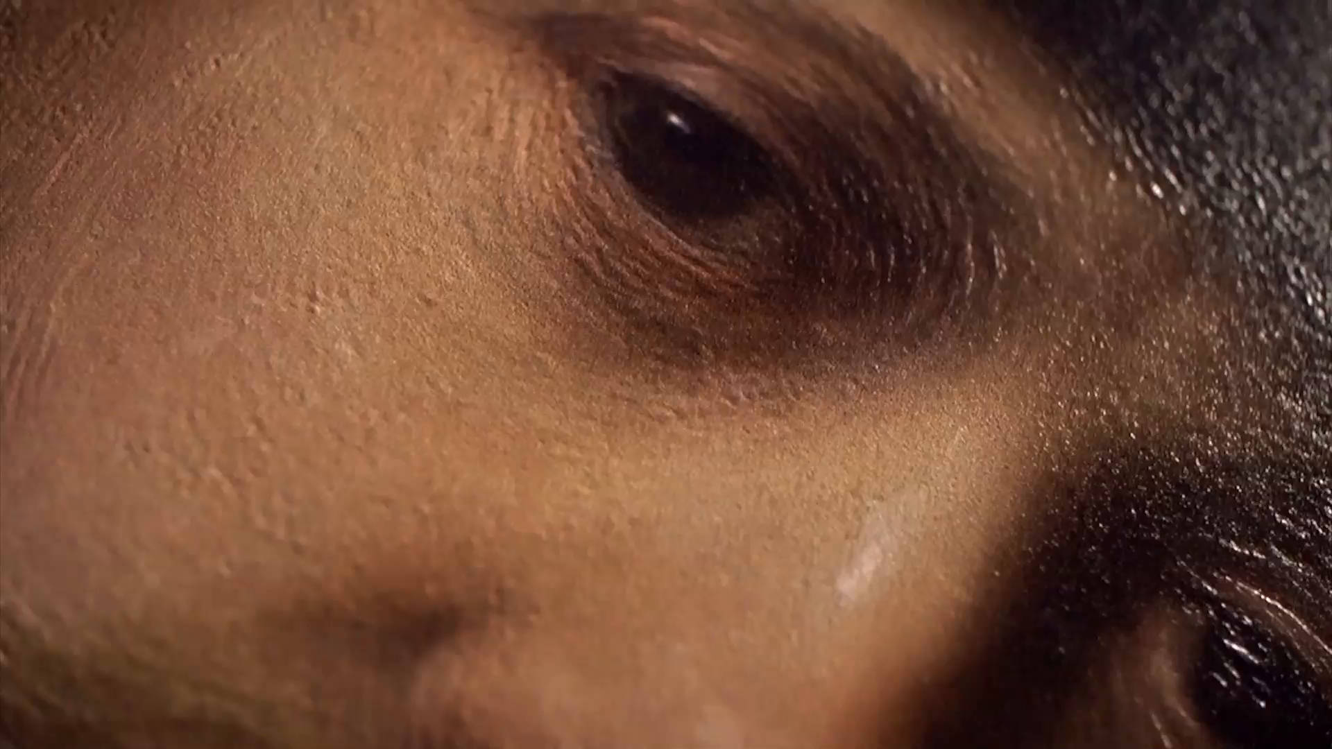 Rembrandt 桌布 壁紙 — 人類眼睛的特寫，可見皮膚紋理，在溫暖燈光下有一滴淚珠在臉頰上閃爍。