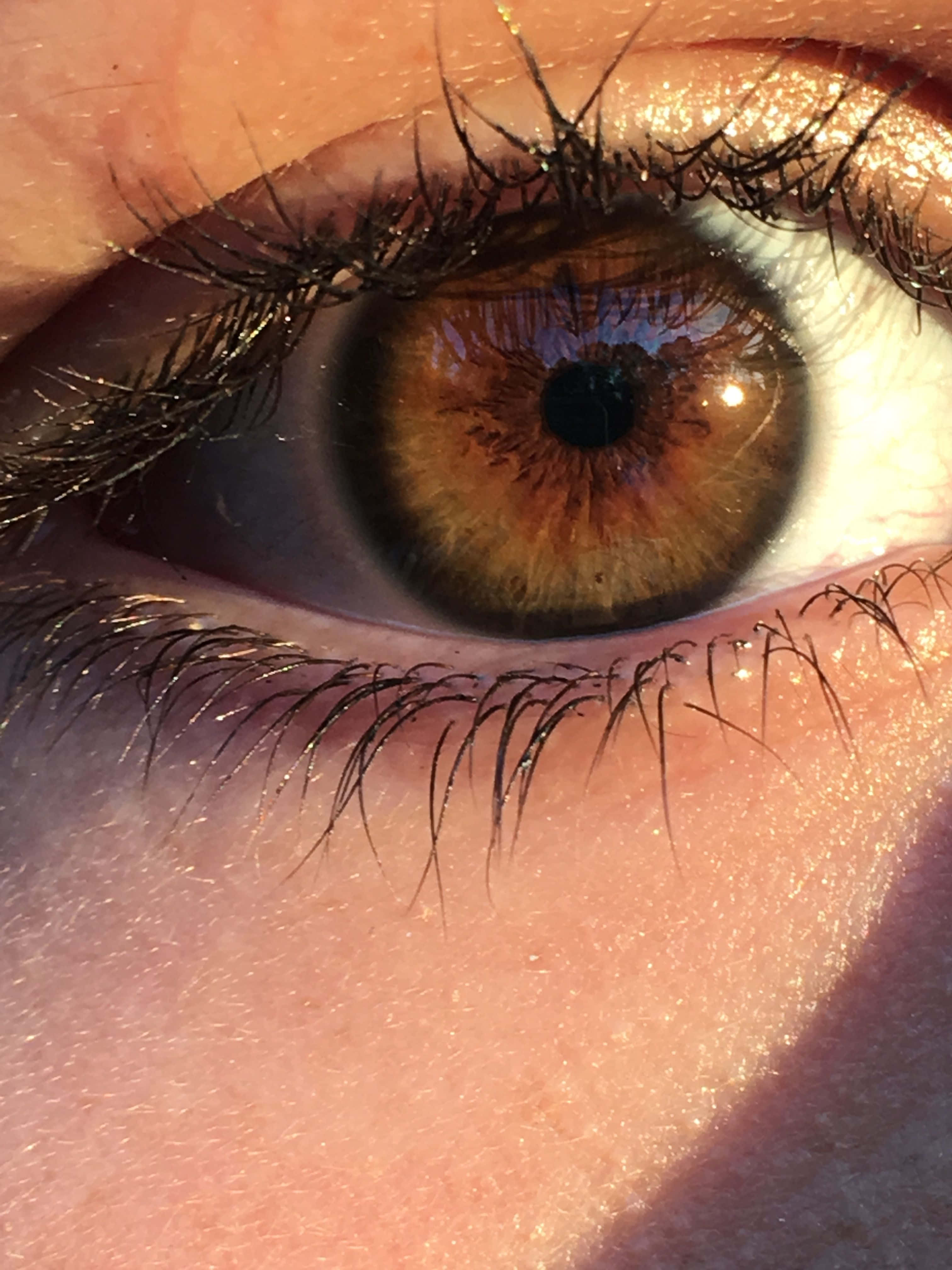 Hazel Aesthetic 桌布 壁紙 — 人類眼睛的特寫，擁有棕色虹膜和長長的黑色睫毛，被溫暖的陽光照射。