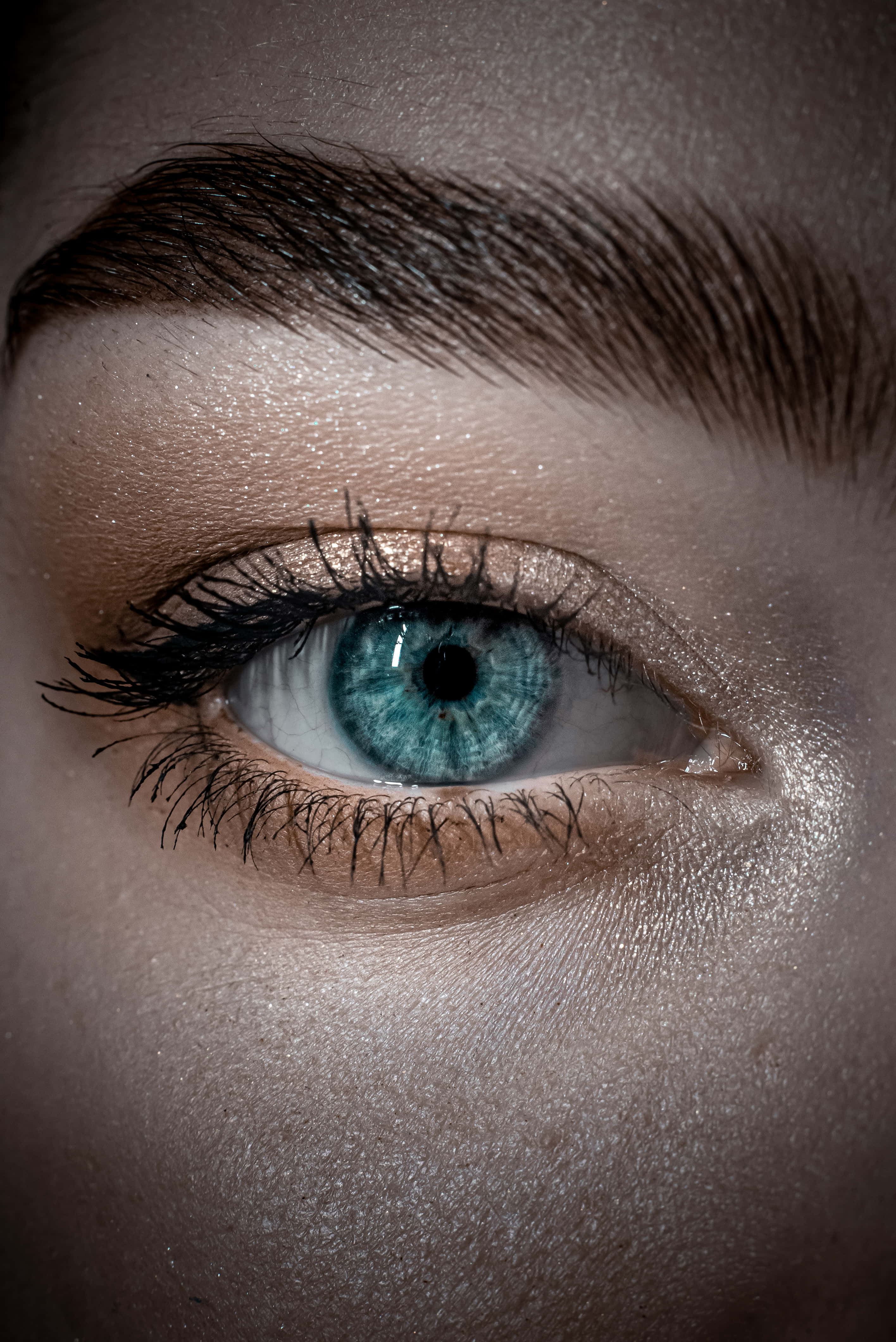 Eyeball 桌布 壁紙 — 人類眼睛的特寫，擁有鮮豔的藍色虹膜和閃爍的金色眼影，在柔和光線下。