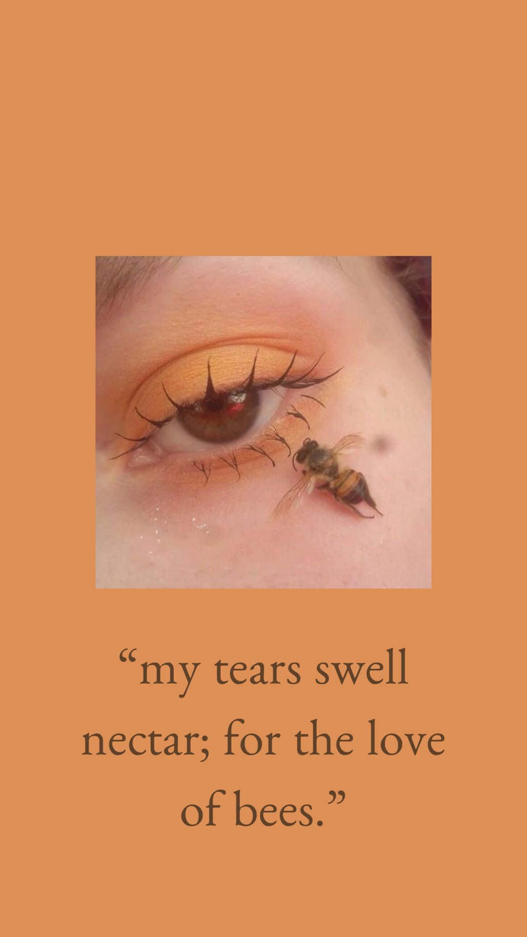 Aesthetic Bee 桌布 壁紙 — 人類眼睛的特寫，有一隻蜜蜂在下睫毛線附近休息，背景是純橙色。