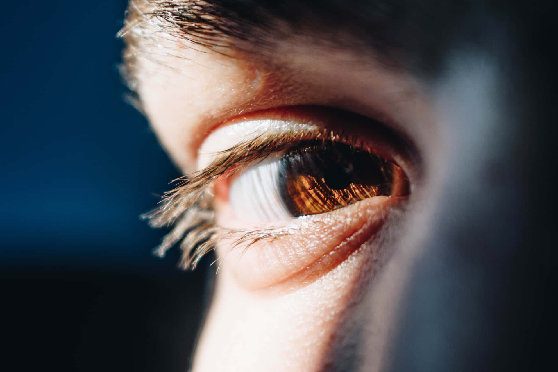 photography 桌布 壁紙 — 人類眼睛的特寫，虹膜呈金棕色，在深藍色背景下反射光線。