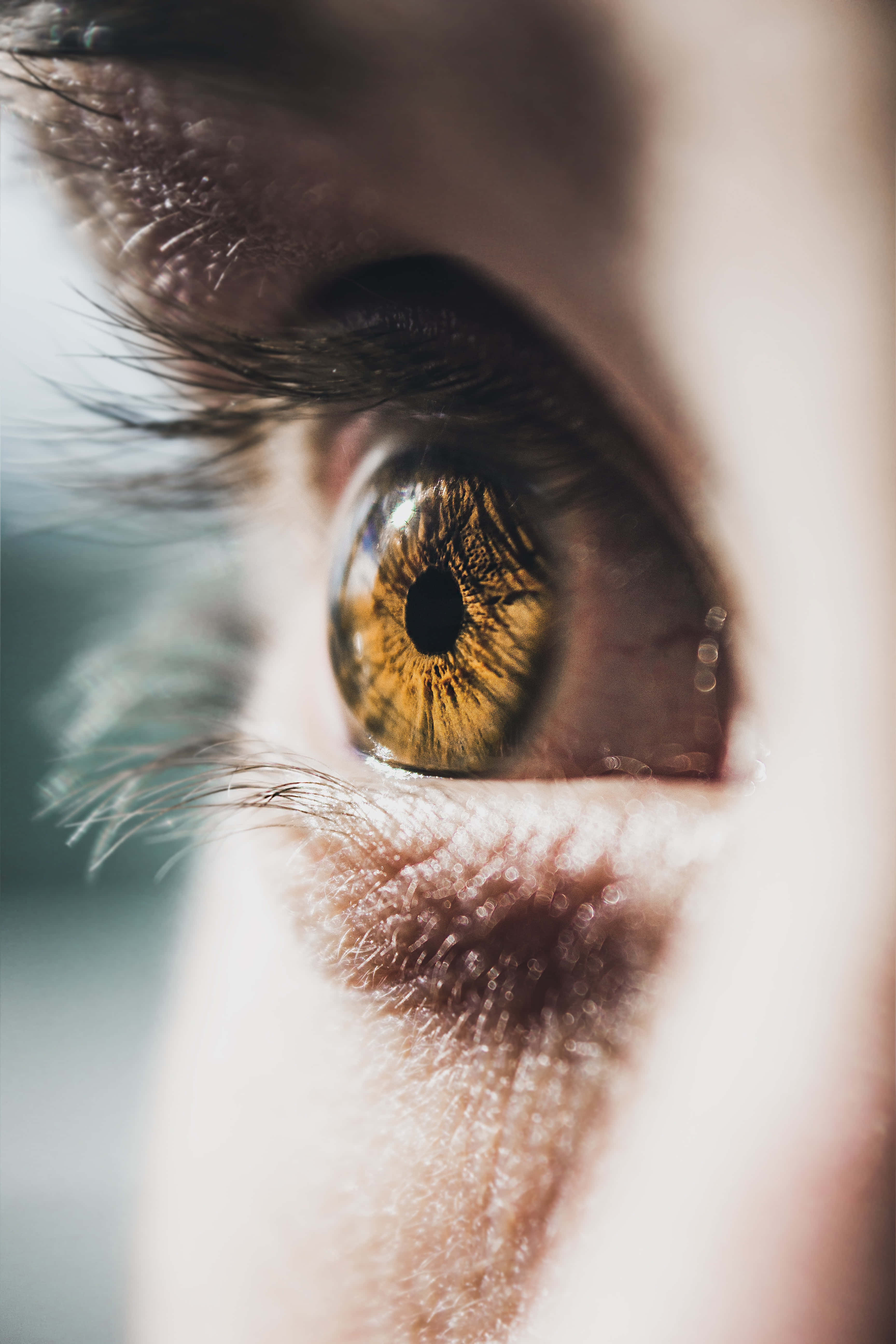 人類眼睛的特寫鏡頭，虹膜呈現黃色 壁紙