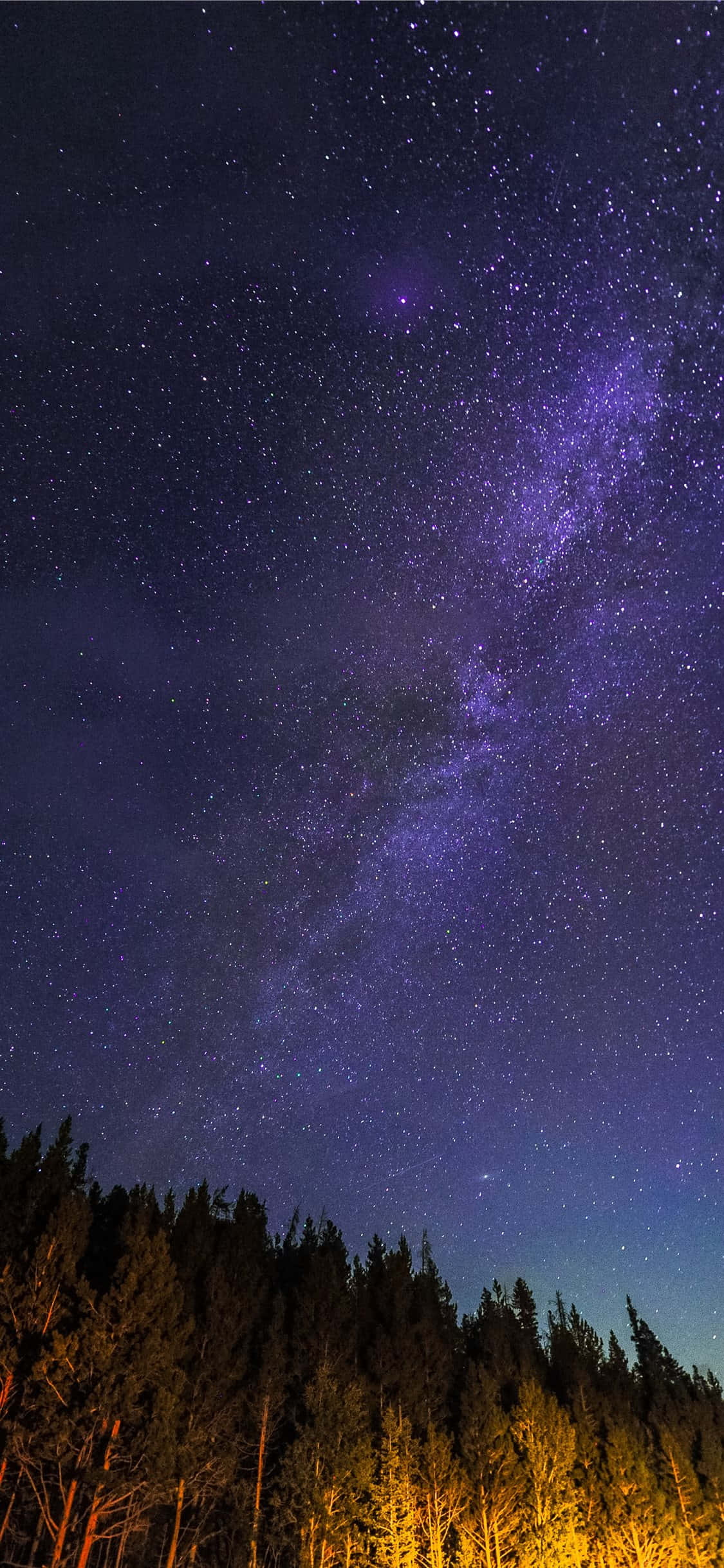 Night Time 桌布 壁紙 — 令人嘆為觀止的夜空，佈滿星星，充滿活力的紫色銀河在黑暗森林的剪影上方拱起，底部有發光的金色樹木。
