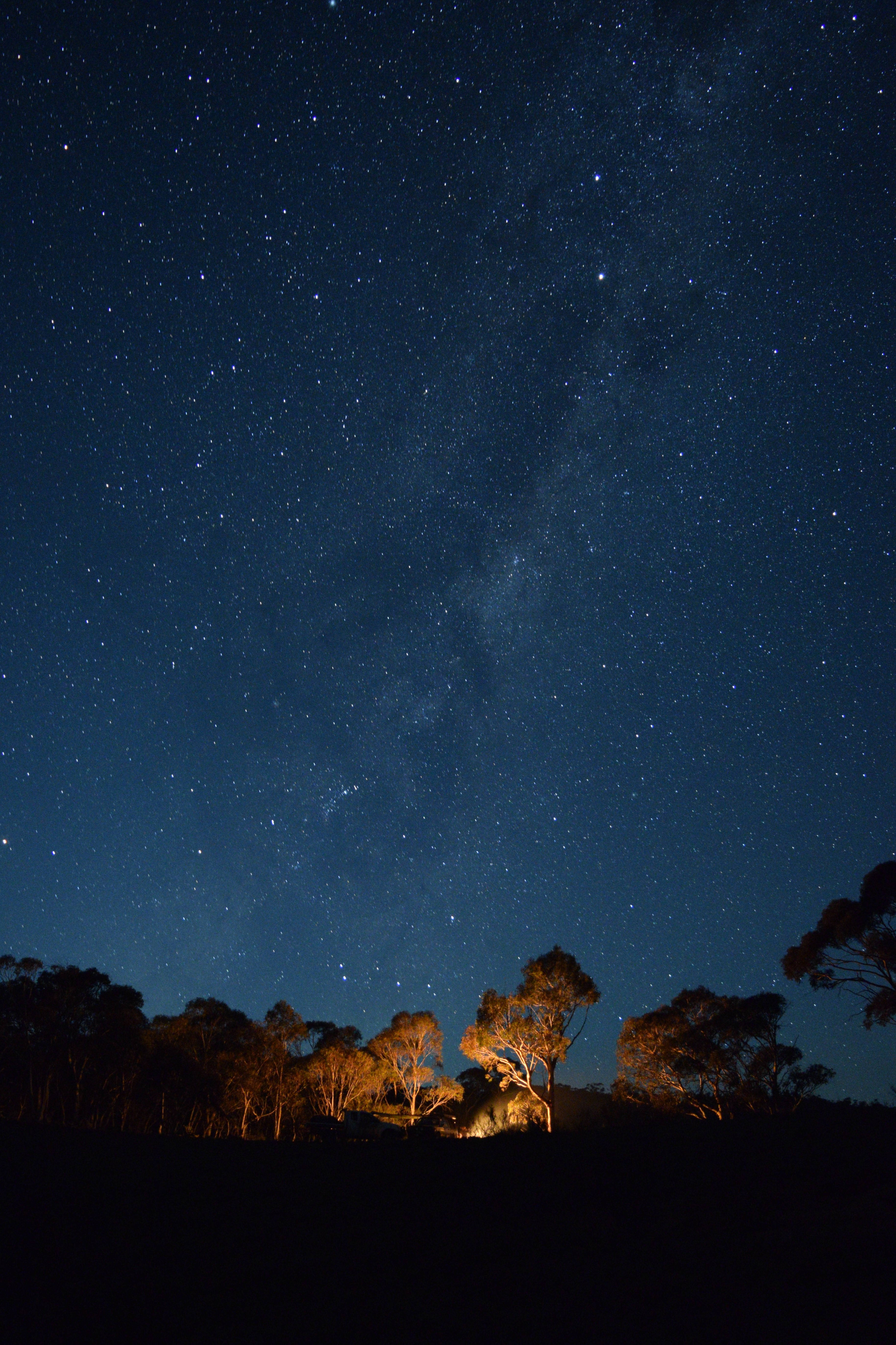 星際大戰 桌布 壁紙 — 令人嘆為觀止的夜空，佈滿無數星星，銀河在剪影樹木上方拱起，樹木散發著溫暖的人造光芒。
