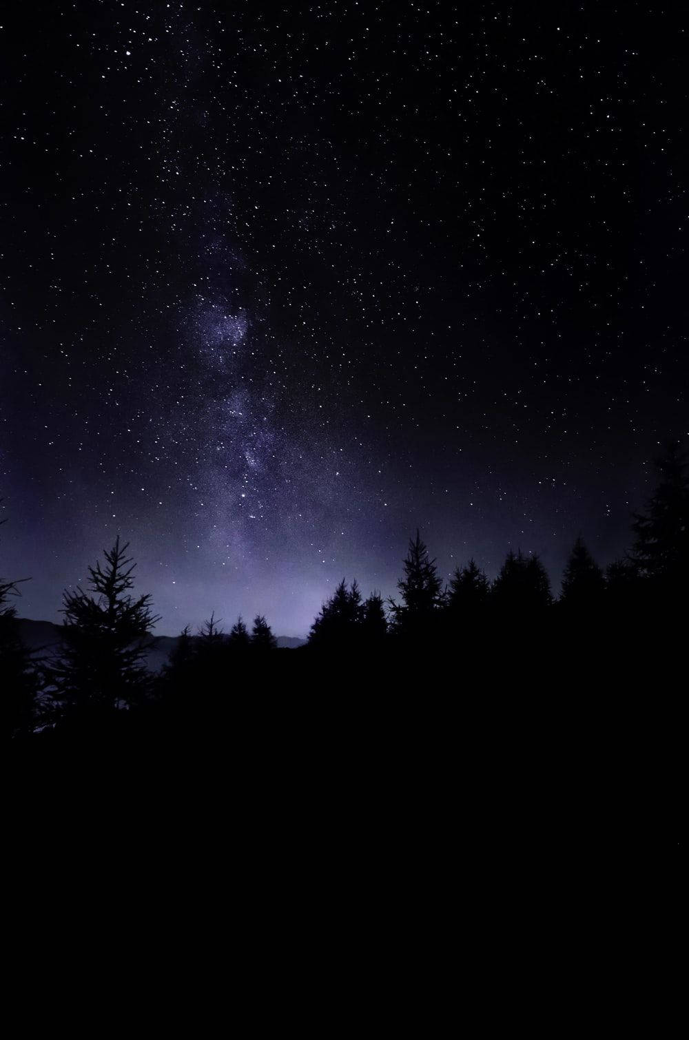 夜空 桌布 壁紙 — 令人嘆為觀止的夜空，佈滿無數星星，閃爍的銀河在松樹的黑暗剪影上方拱起。