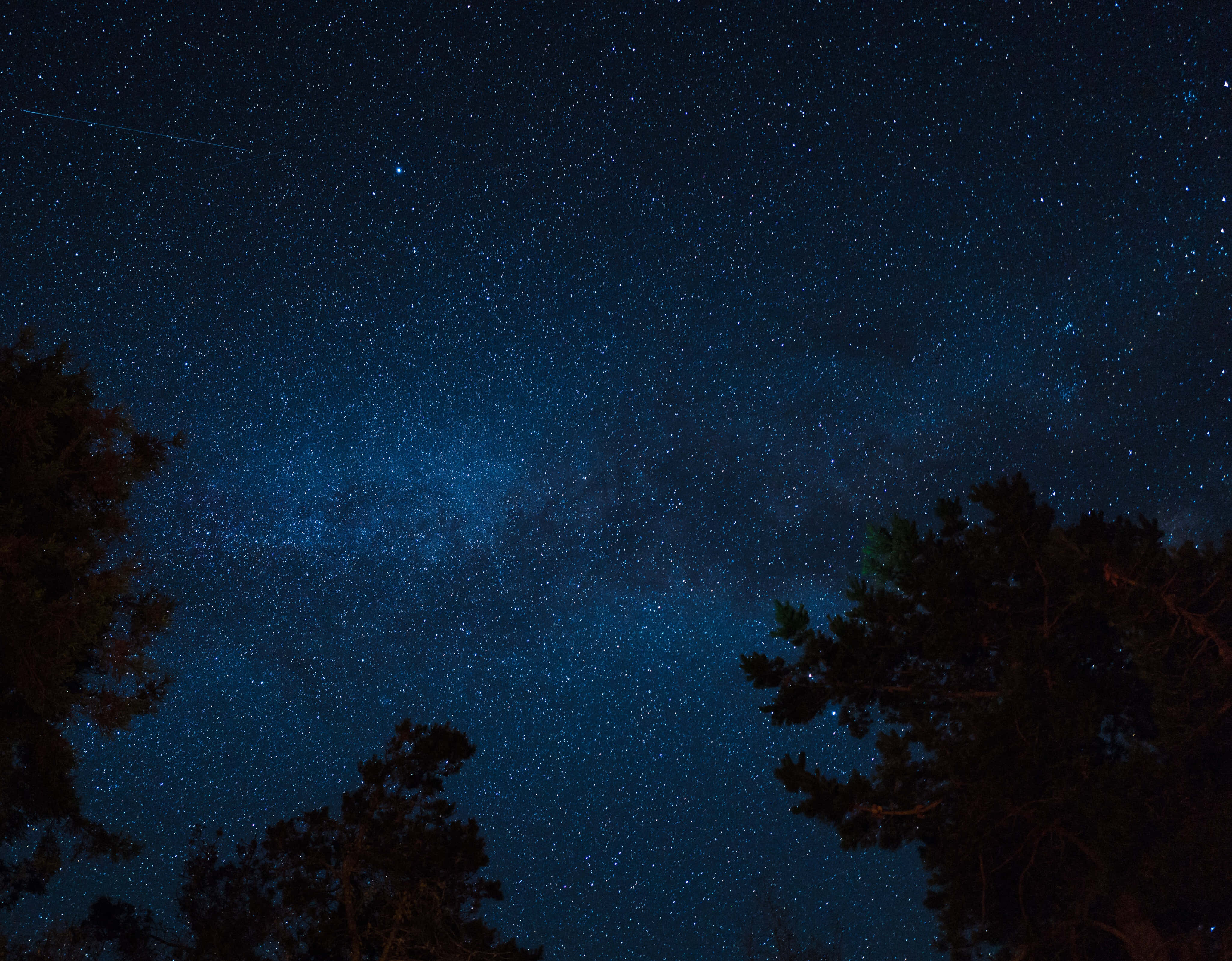 Aesthetic Night Sky 桌布 壁紙 — 令人嘆為觀止的夜空，佈滿無數星辰，銀河在剪影松樹上方拱起。