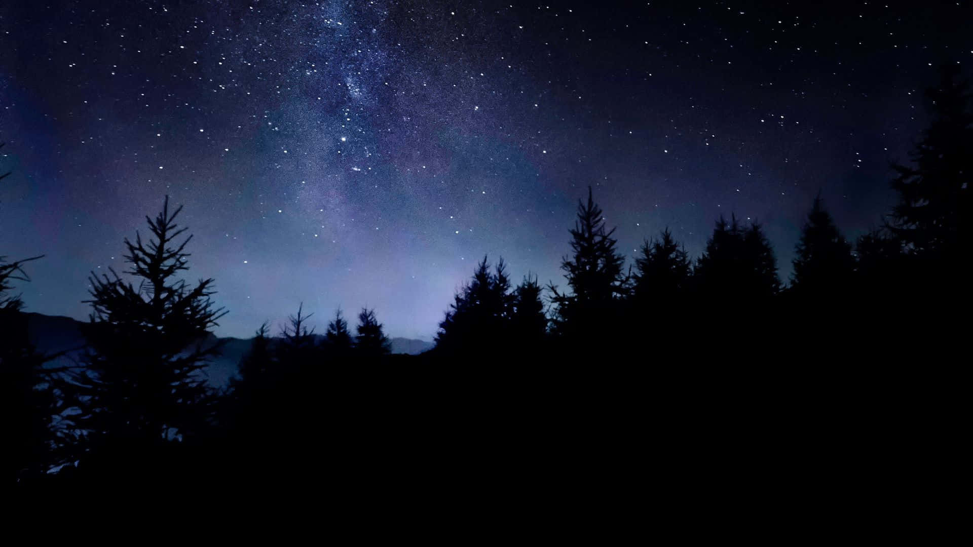 Starry Night Sky 桌布 壁紙 — 令人嘆為觀止的夜空，佈滿繁星和銀河，拱形在松樹的黑暗剪影之上。
