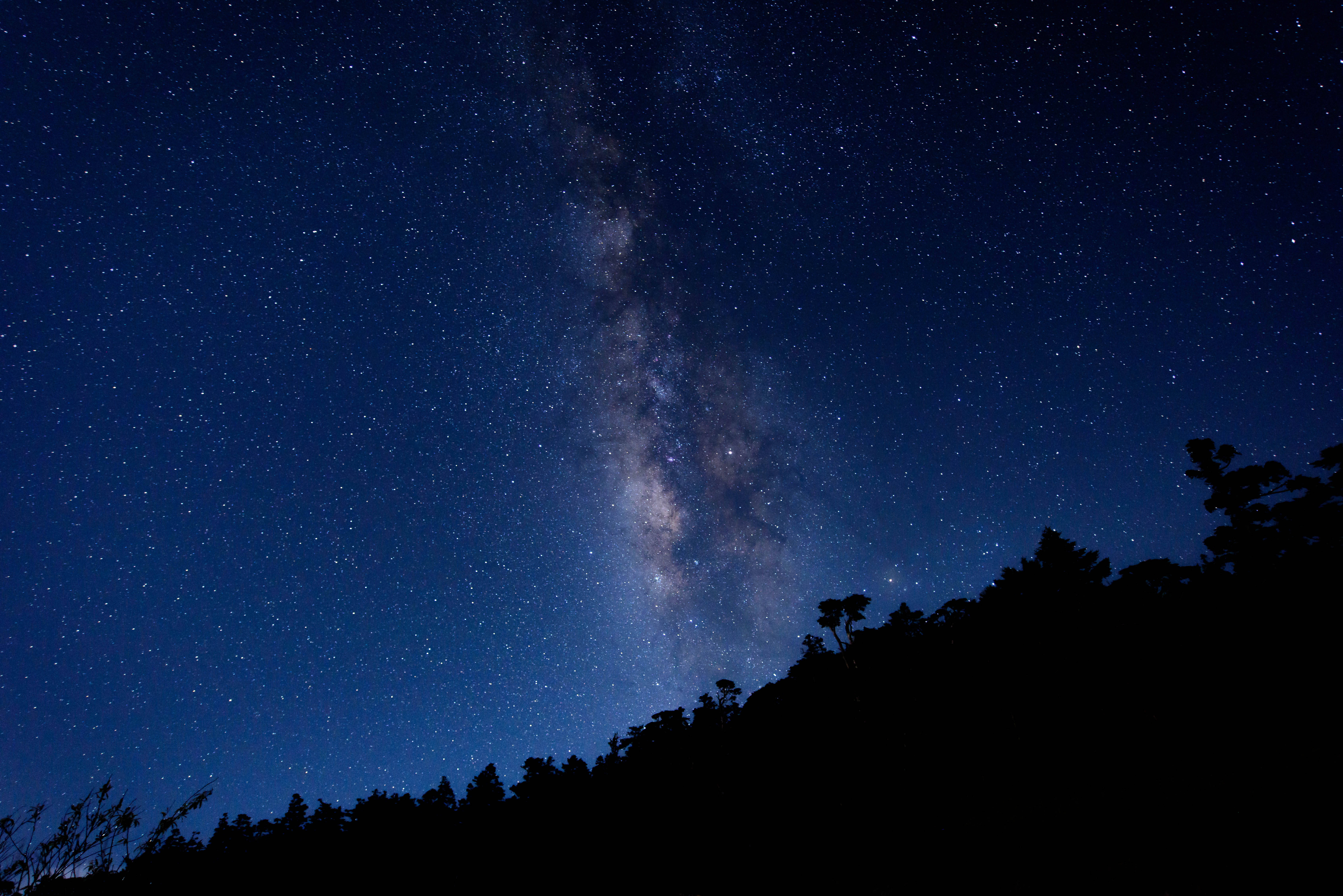 no way 桌布 壁紙 — 令人嘆為觀止的夜空，充滿無數星星和銀河系的發光帶，在黑暗的森林山脊剪影上拱起。