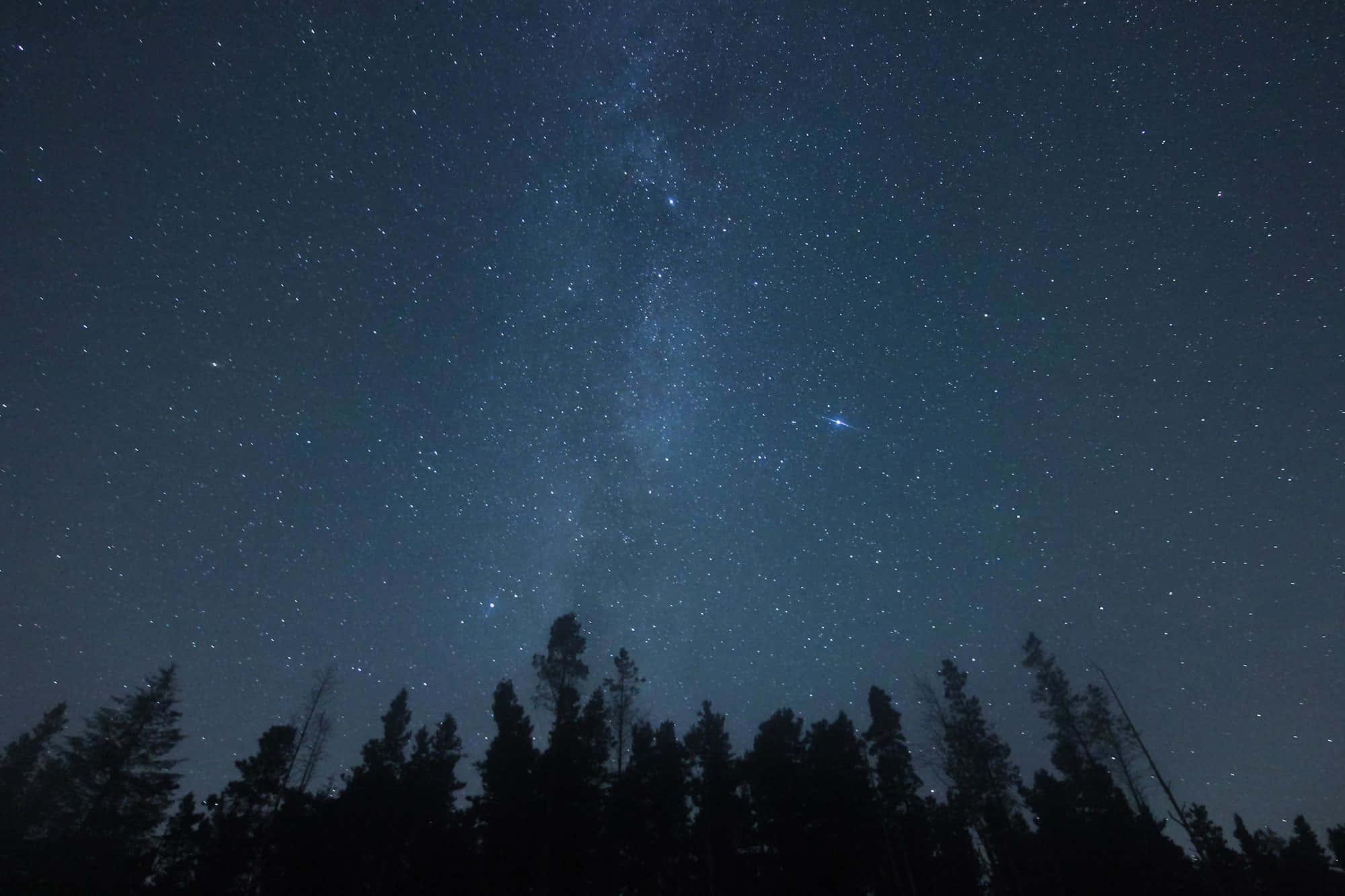 夜空 桌布 壁紙 — 令人嘆為觀止的夜空，充滿無數星星，銀河在松樹的黑暗剪影上方拱起。