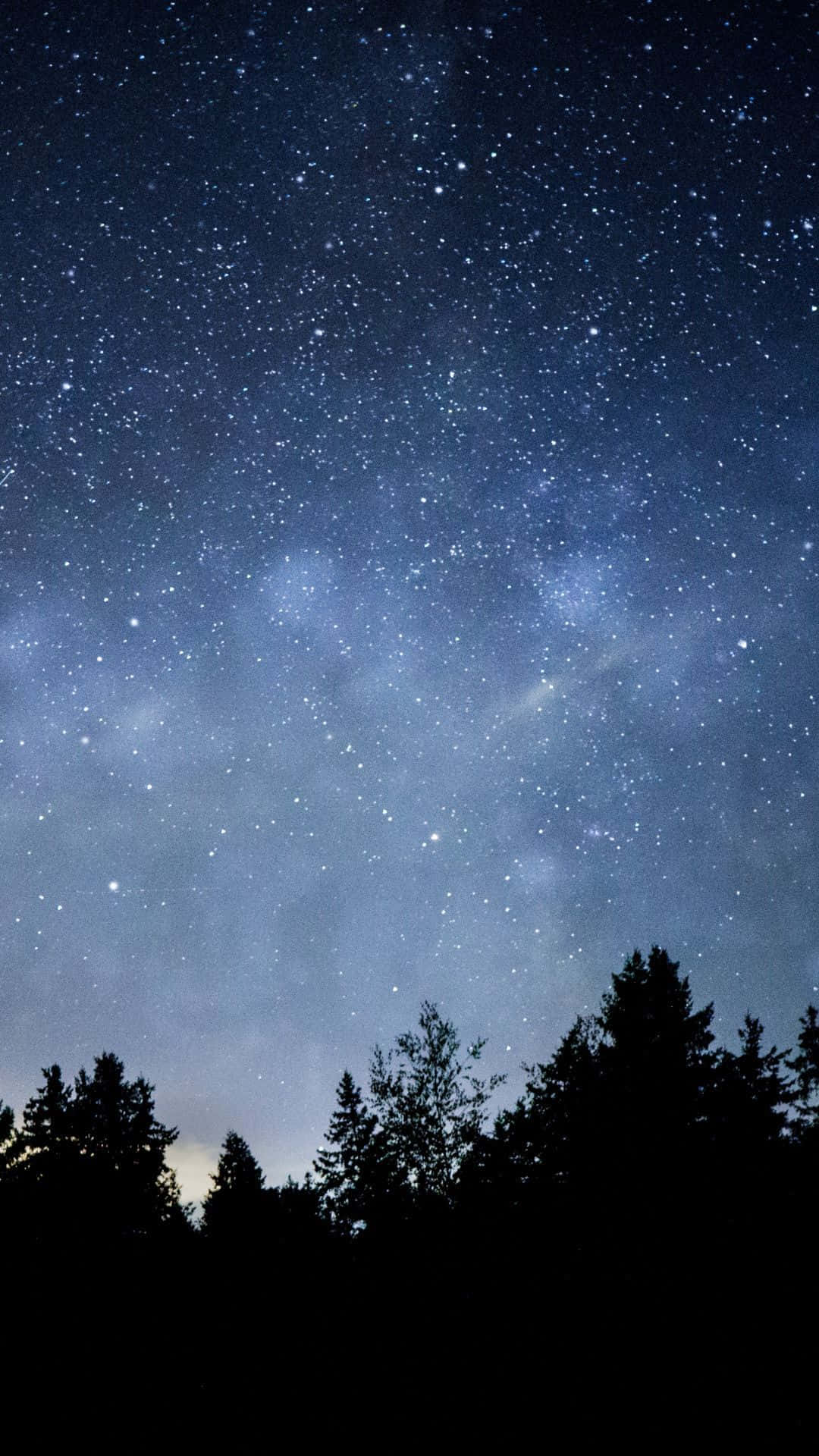 桌布 壁紙 — 令人嘆為觀止的夜空，充滿無數星星，銀河在松樹的黑暗剪影上方拱起。