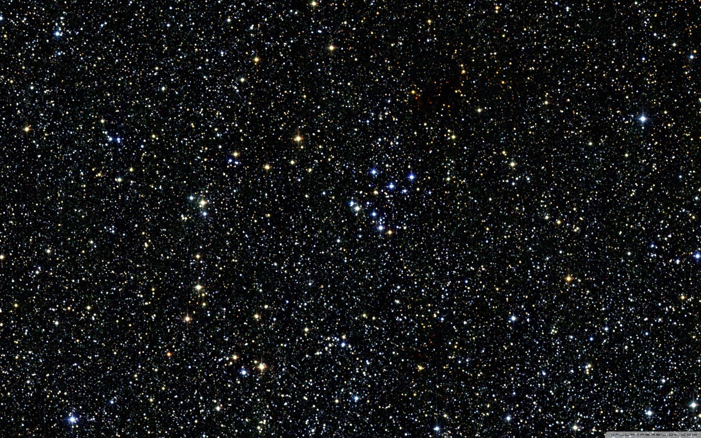 Stars 桌布 壁紙 — 令人嘆為觀止的密集星場景觀，無數閃爍的星星以各種色調點綴在深邃的黑色宇宙虛空中。