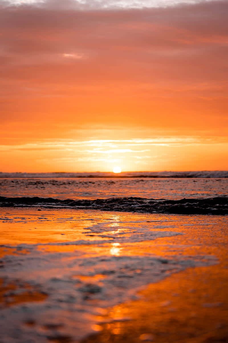 Ocean Beach 桌布 壁紙 — 令人嘆為觀止的日落將海洋和濕沙染成火熱的橙色和粉紅色調，海浪輕輕拍打。