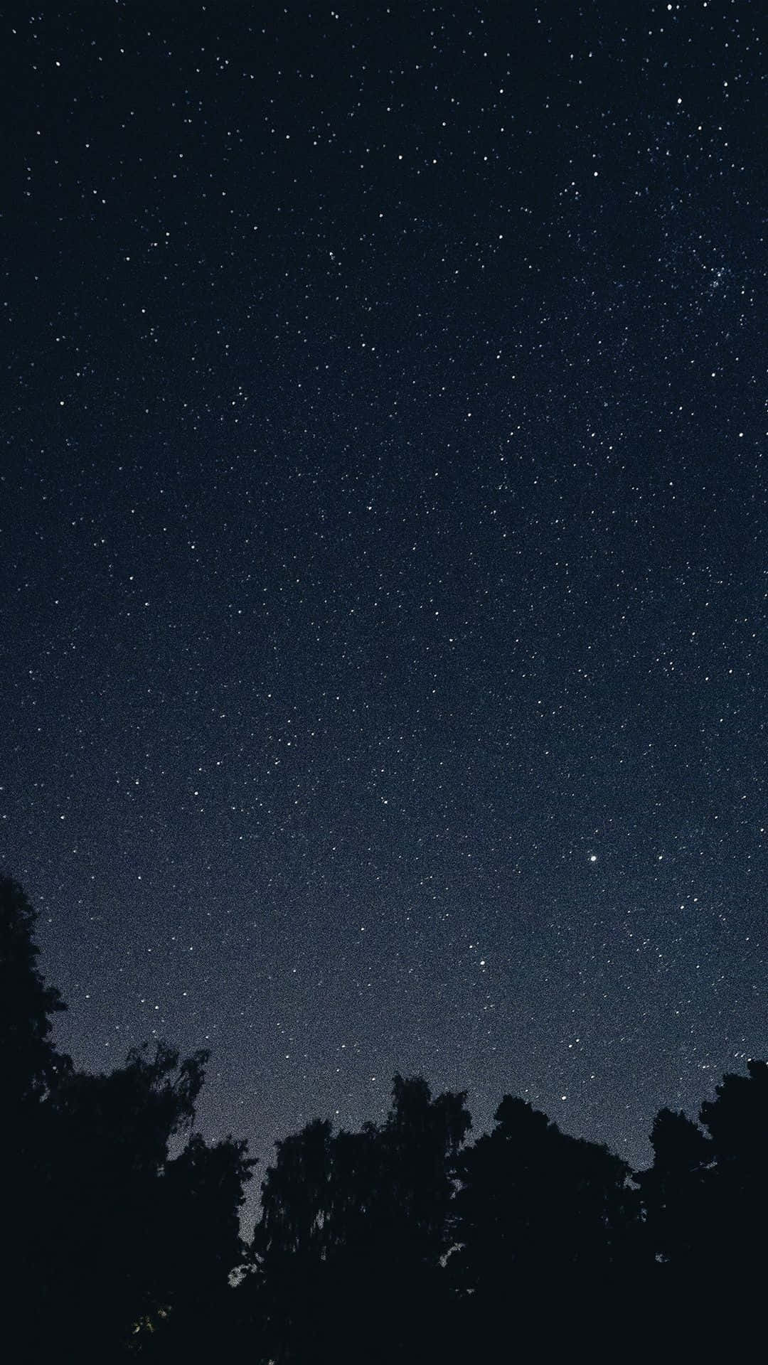 Moon And Stars Phone 桌布 壁紙 — 令人嘆為觀止的星空夜景，上方是繁星點點的夜空，下方是森林樹冠的黑暗輪廓。