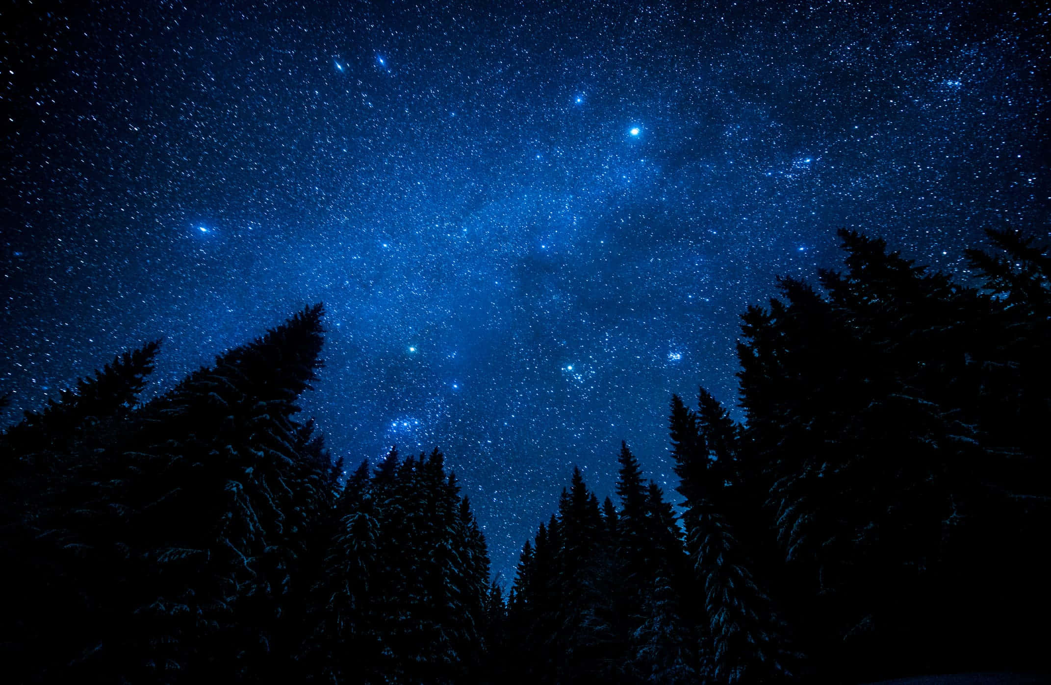 Dark Sky 桌布 壁紙 — 令人嘆為觀止的星空夜景，被白雪覆蓋的松樹的黑暗輪廓所框住。