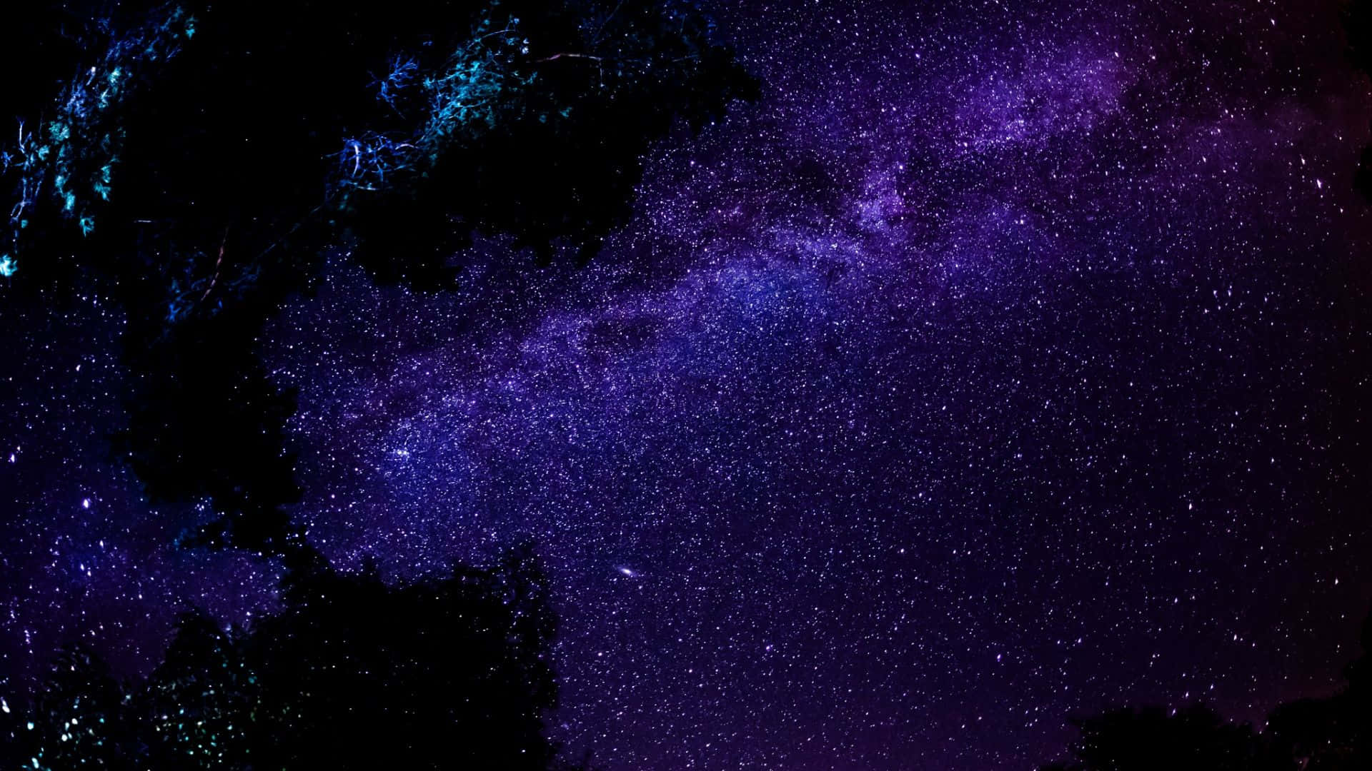 Stars 桌布 壁紙 — 令人嘆為觀止的景色：一條充滿活力的紫色銀河，點綴著星星，被黑暗的樹枝剪影框住，映襯著深邃的夜空。