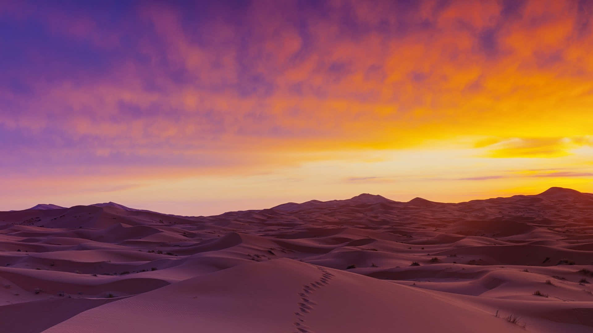 Sand Dunes 桌布 壁紙 — 令人嘆為觀止的沙漠日落，滾滾沙丘在戲劇性的天空下沐浴在火熱的橙色和紫色色調中。