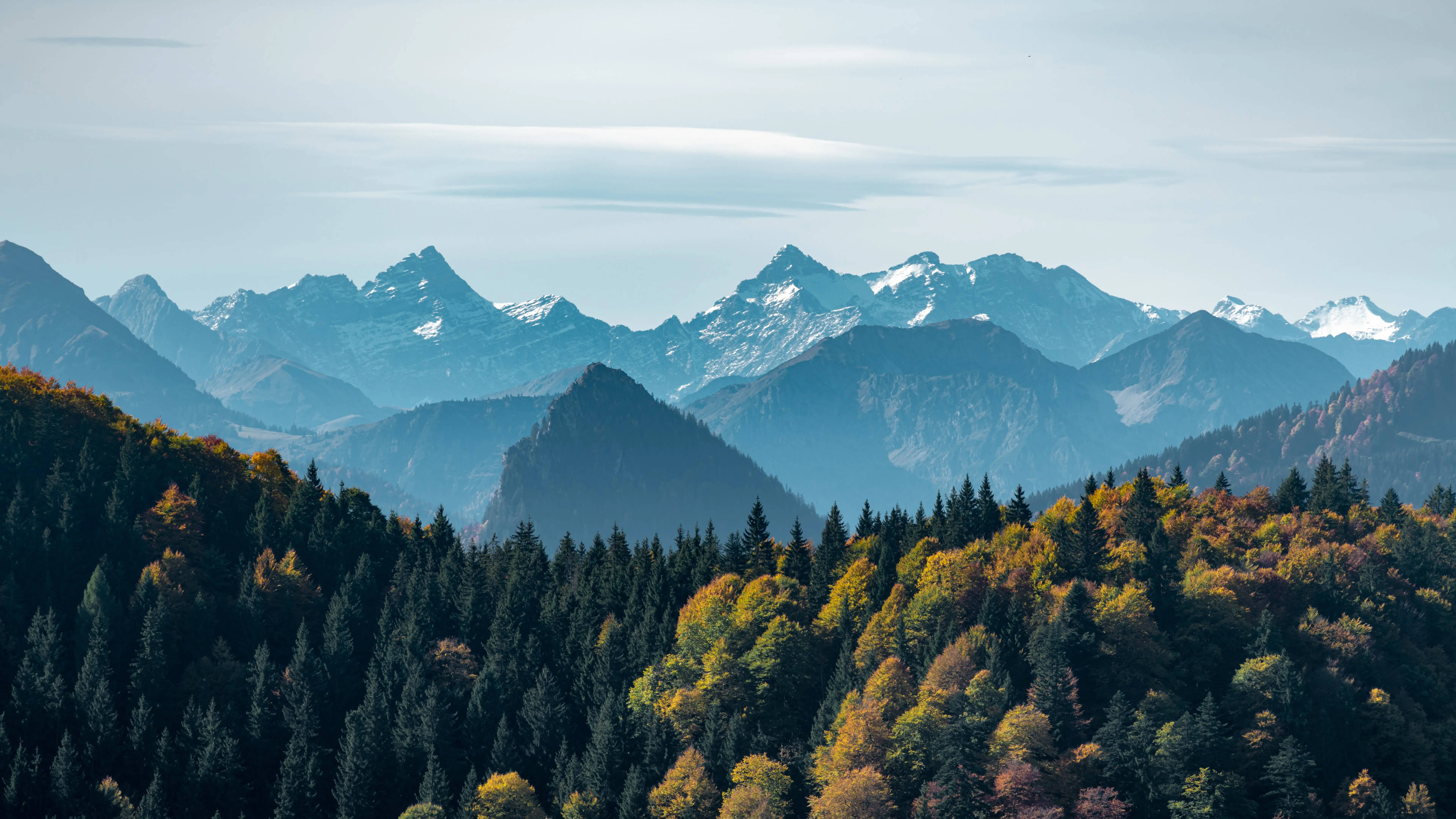 森林 桌布 壁紙 — 令人嘆為觀止的秋季山景，白雪覆蓋的山峰聳立在金橙色和深綠色燃燒的森林之上。