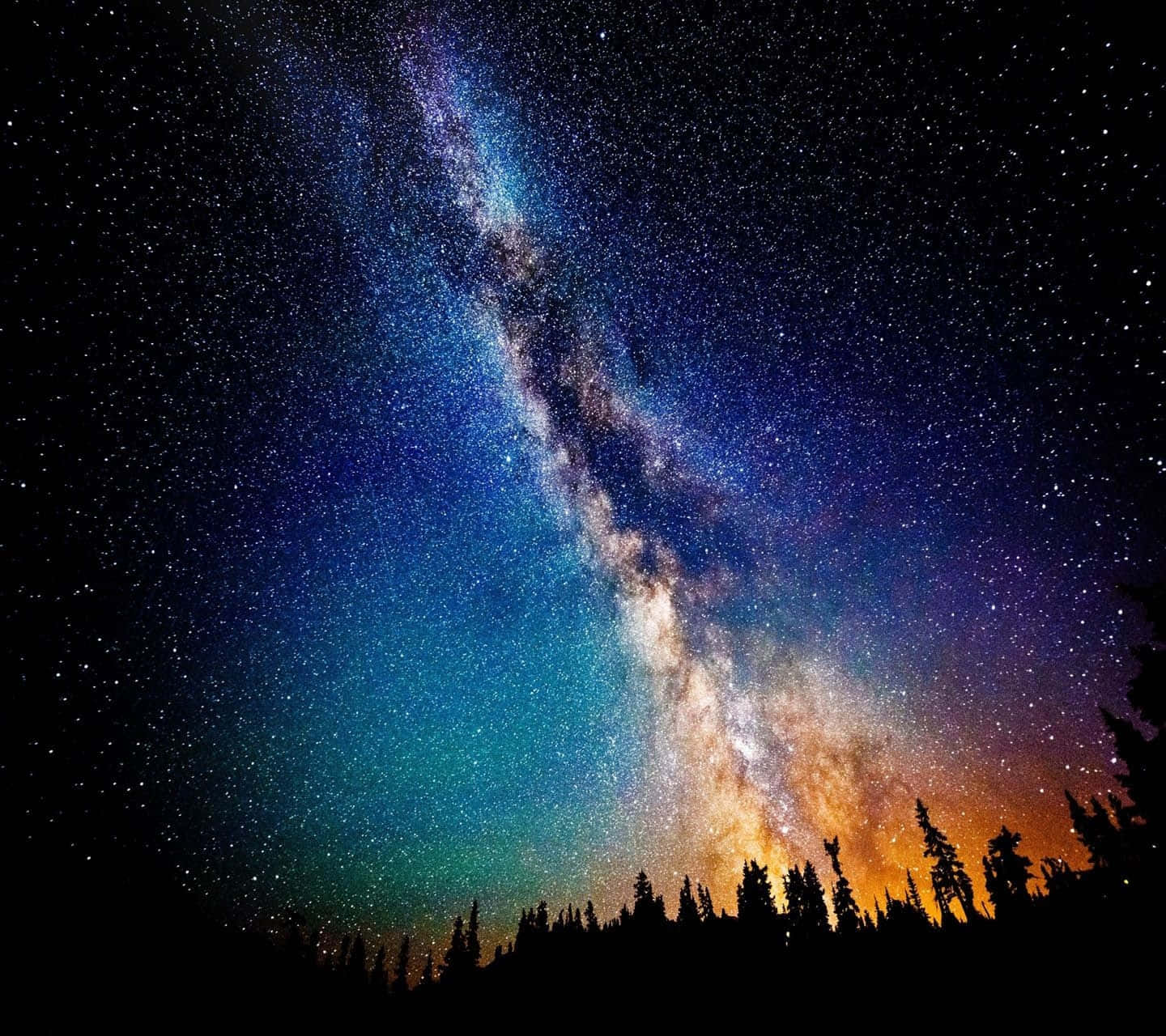 銀河 桌布 壁紙 — 令人嘆為觀止的銀河系在松樹剪影上方星羅棋布的夜空拱形延伸的景象。