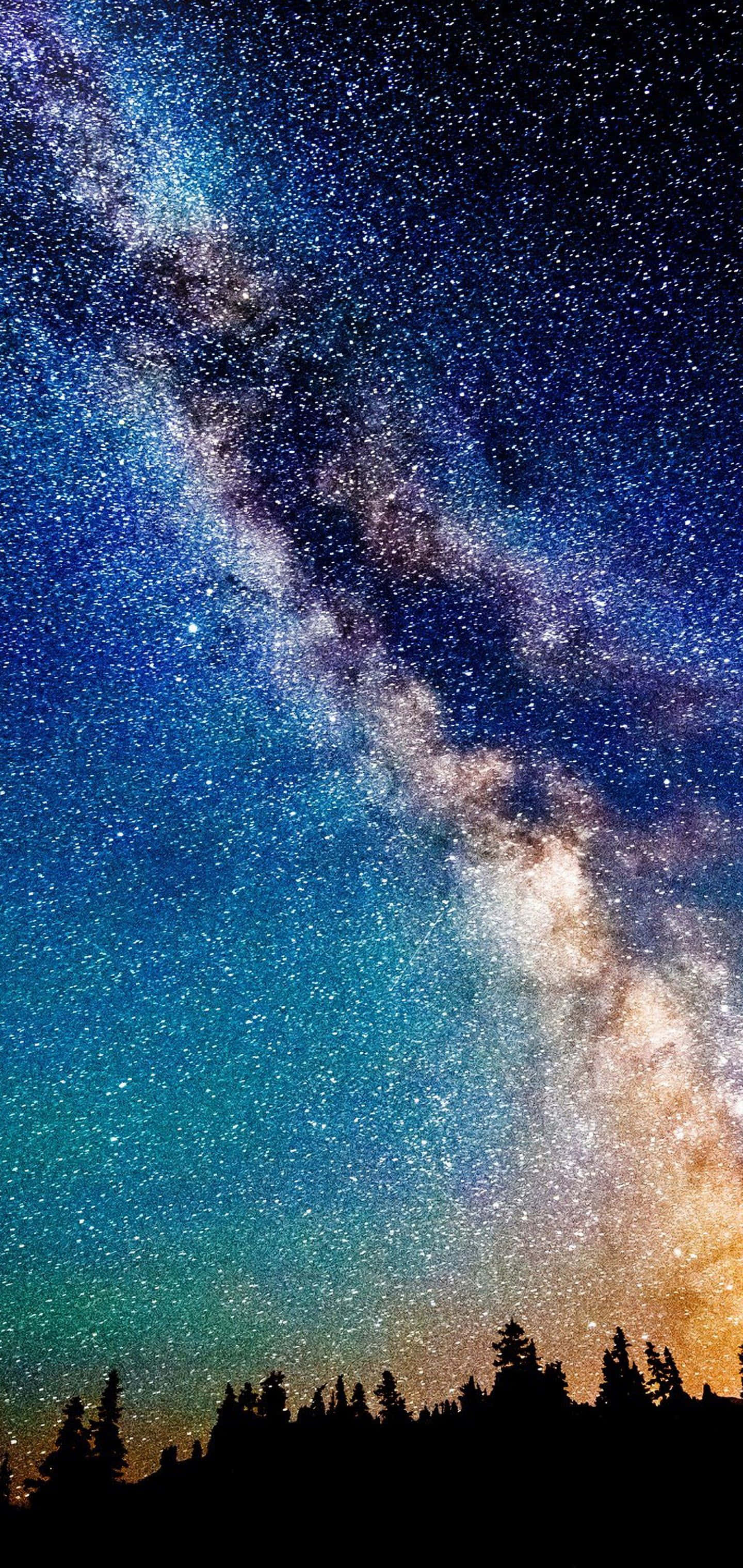 Galaxy Sky 桌布 壁紙 — 令人嘆為觀止的銀河系在深藍色夜空中拱起，越過黑暗森林剪影的景象。