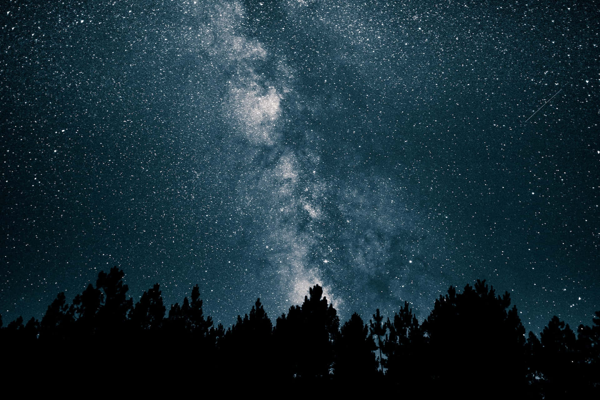 Stars 桌布 壁紙 — 令人嘆為觀止的銀河系在深靛藍色夜空中拱起，下方是松樹的黑暗剪影。