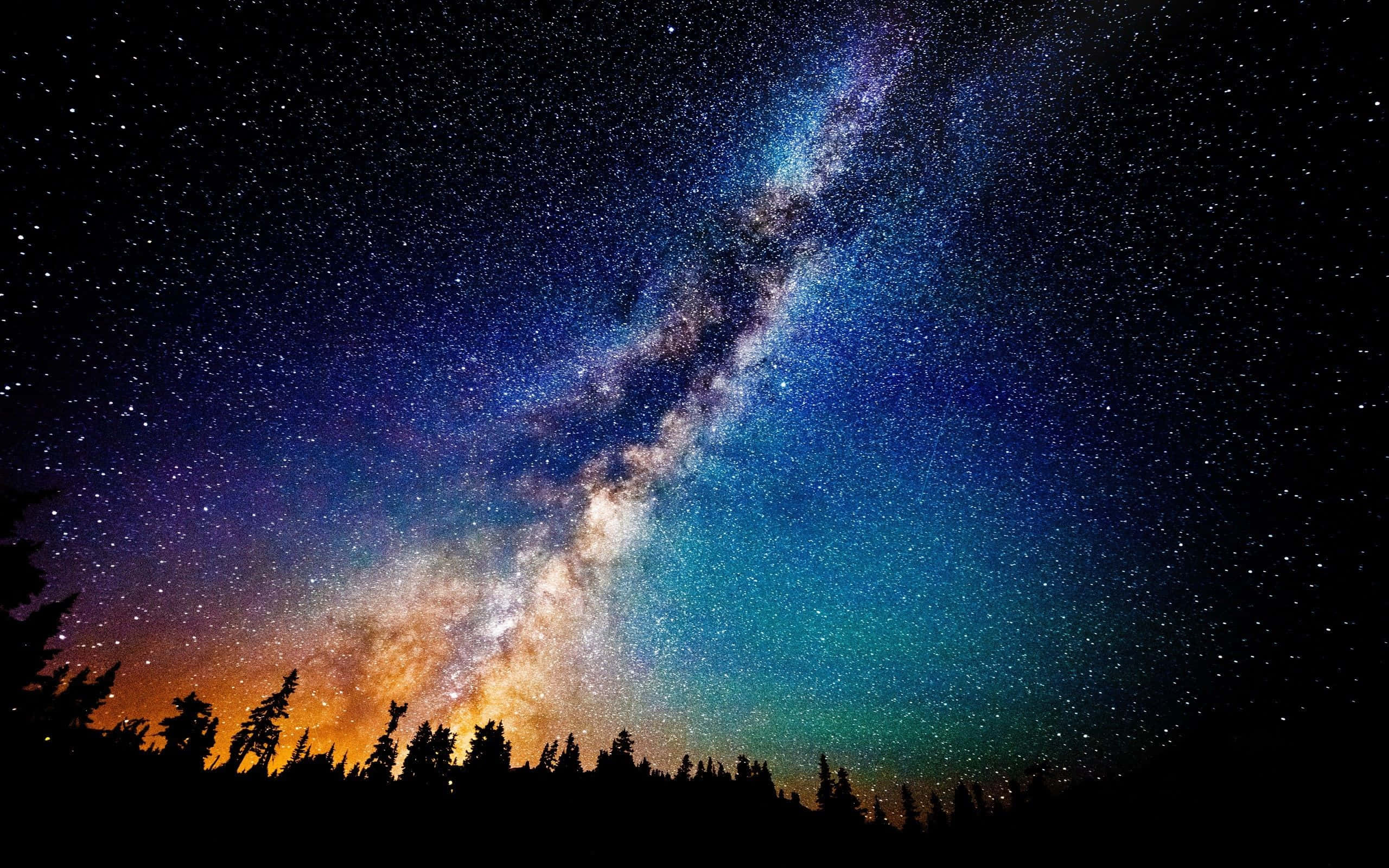 桌布 壁紙 — 令人嘆為觀止的銀河系在繁星點點的夜空中拱起，映襯著松樹的剪影。