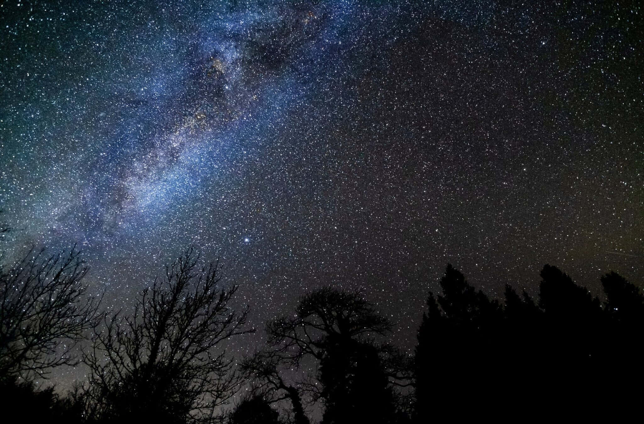 夜空 桌布 壁紙 — 令人嘆為觀止的銀河系景觀，在佈滿星星的夜空中拱形跨越，上方是剪影般的樹木。