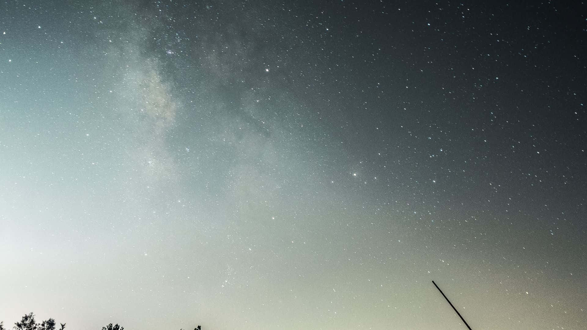 星空動畫 桌布 壁紙 — 令人嘆為觀止的銀河系景觀，在剪影樹梢上方橫跨滿天繁星的夜空。
