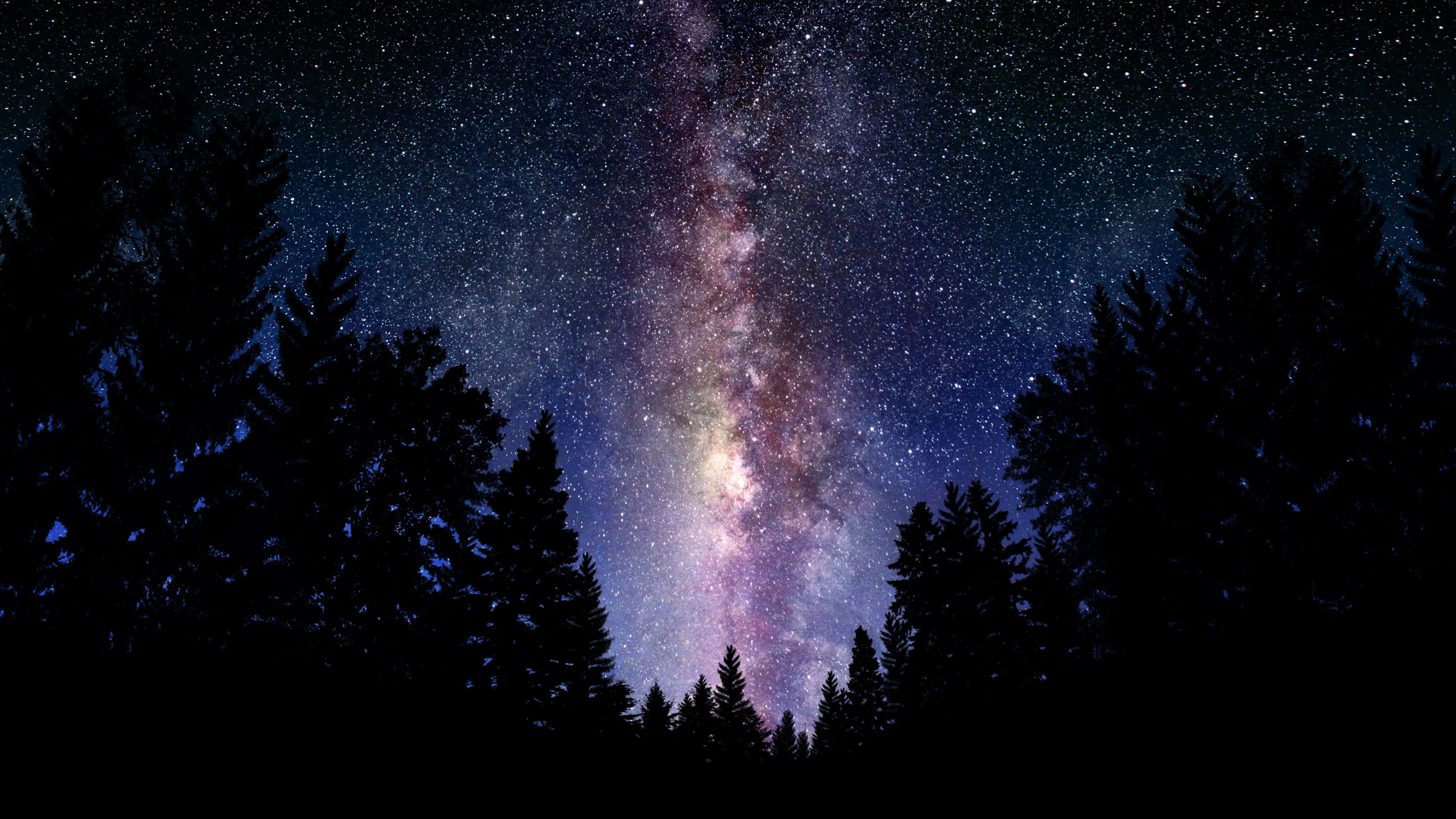 夜空 桌布 壁紙 — 令人嘆為觀止的銀河系景觀，在松樹的黑暗剪影上方閃爍著鮮豔的紫色和藍色光芒。