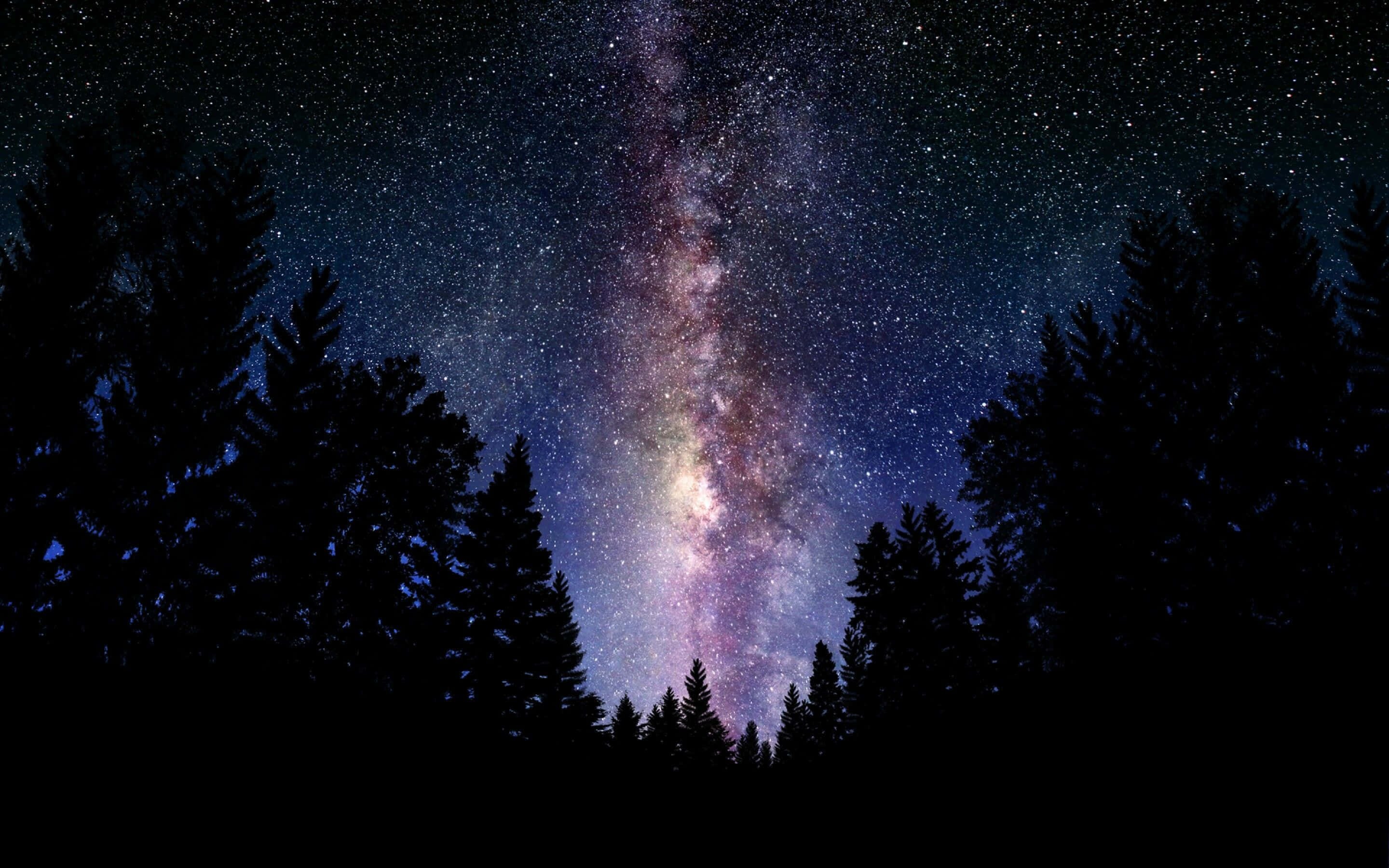 Galaxy Artwork 桌布 壁紙 — 令人嘆為觀止的銀河系景觀，在松樹的黑暗剪影上方閃耀著鮮豔的紫色和藍色光芒。