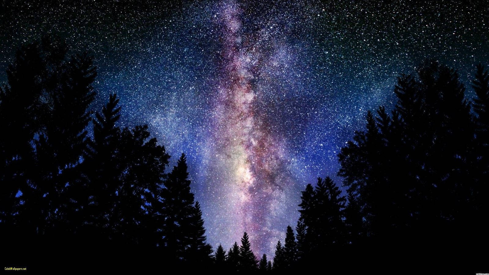 Milky 桌布 壁紙 — 令人嘆為觀止的銀河系景觀，在松樹的黑暗剪影上方閃耀著鮮豔的紫色和藍色。