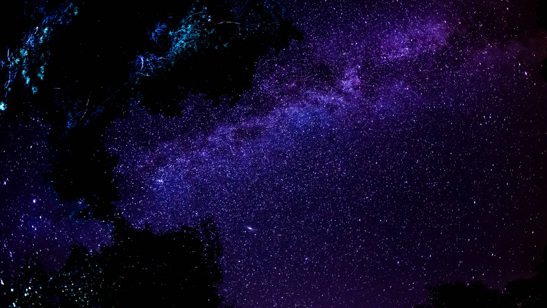 黑紫美學 桌布 壁紙 — 令人嘆為觀止的銀河系景觀，在深紫色和藍色調中閃耀，映襯著樹枝的剪影。