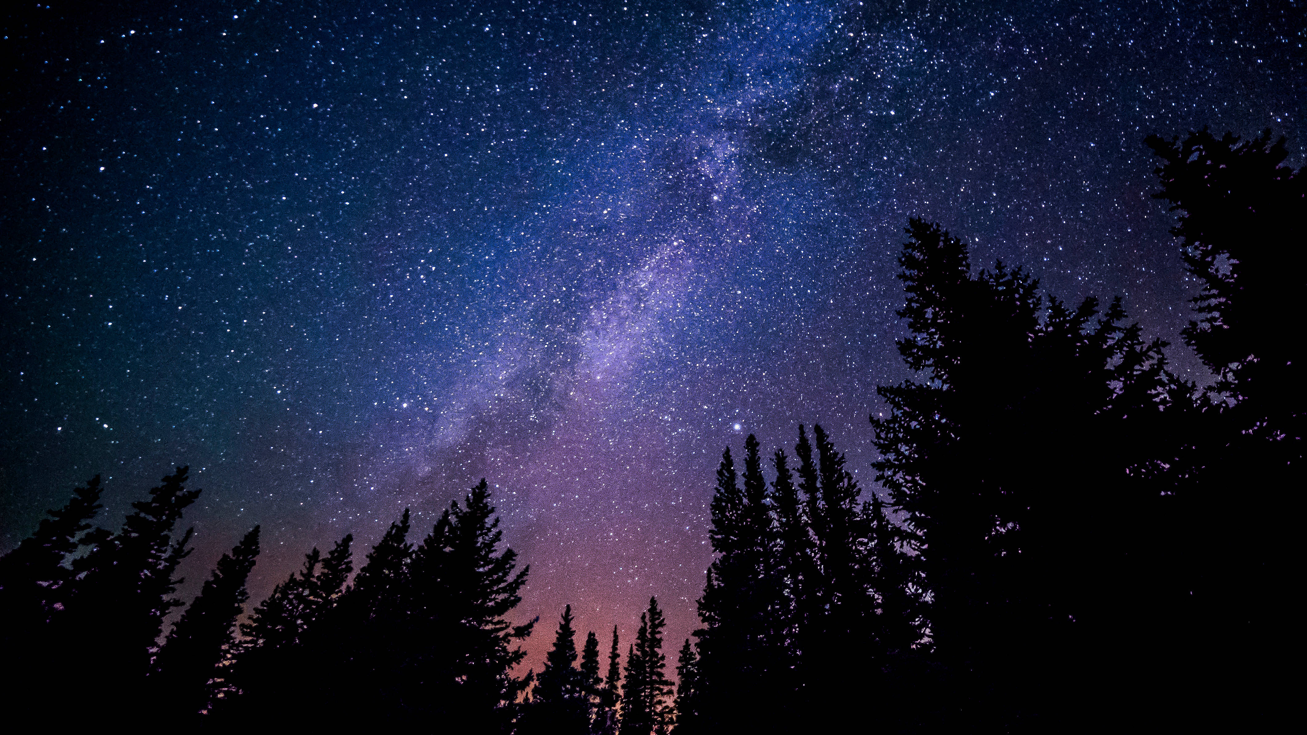 星際異攻隊 桌布 壁紙 — 令人嘆為觀止的銀河系景觀，在深藍色和紫色的夜空中，在黑暗的松樹剪影上方拱起。