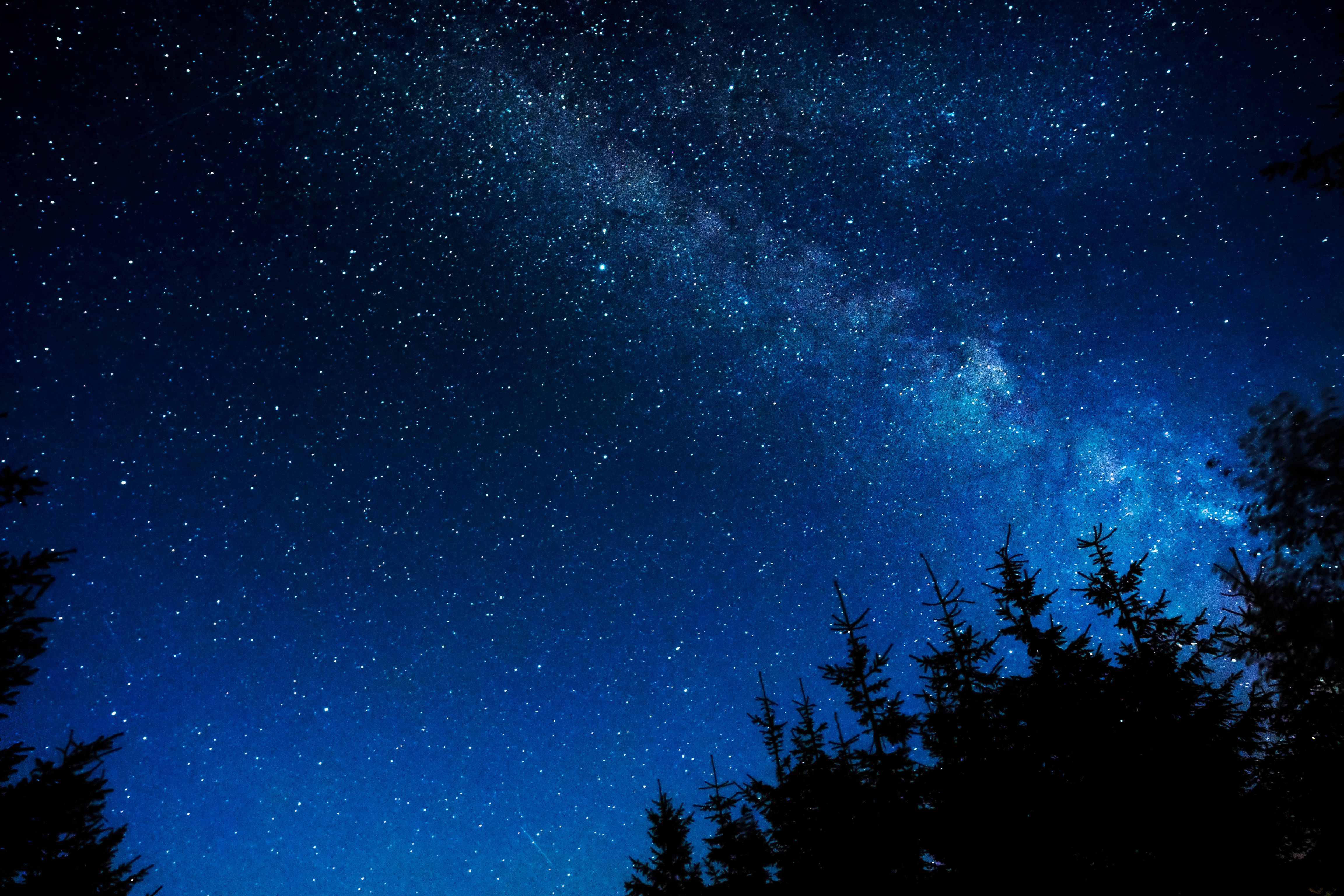 夜空 桌布 壁紙 — 令人嘆為觀止的銀河系景觀，在深藍色夜空中閃耀，以黑暗的松樹剪影為框。
