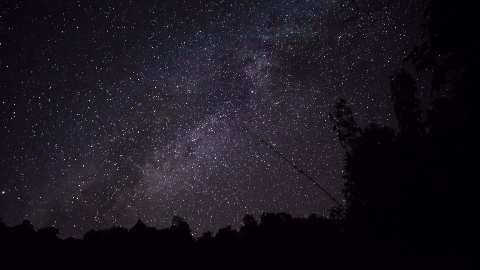 星空動畫 桌布 壁紙 — 令人嘆為觀止的銀河系景觀，在繁星點點的夜空中拱起，下方是黑暗的森林輪廓。