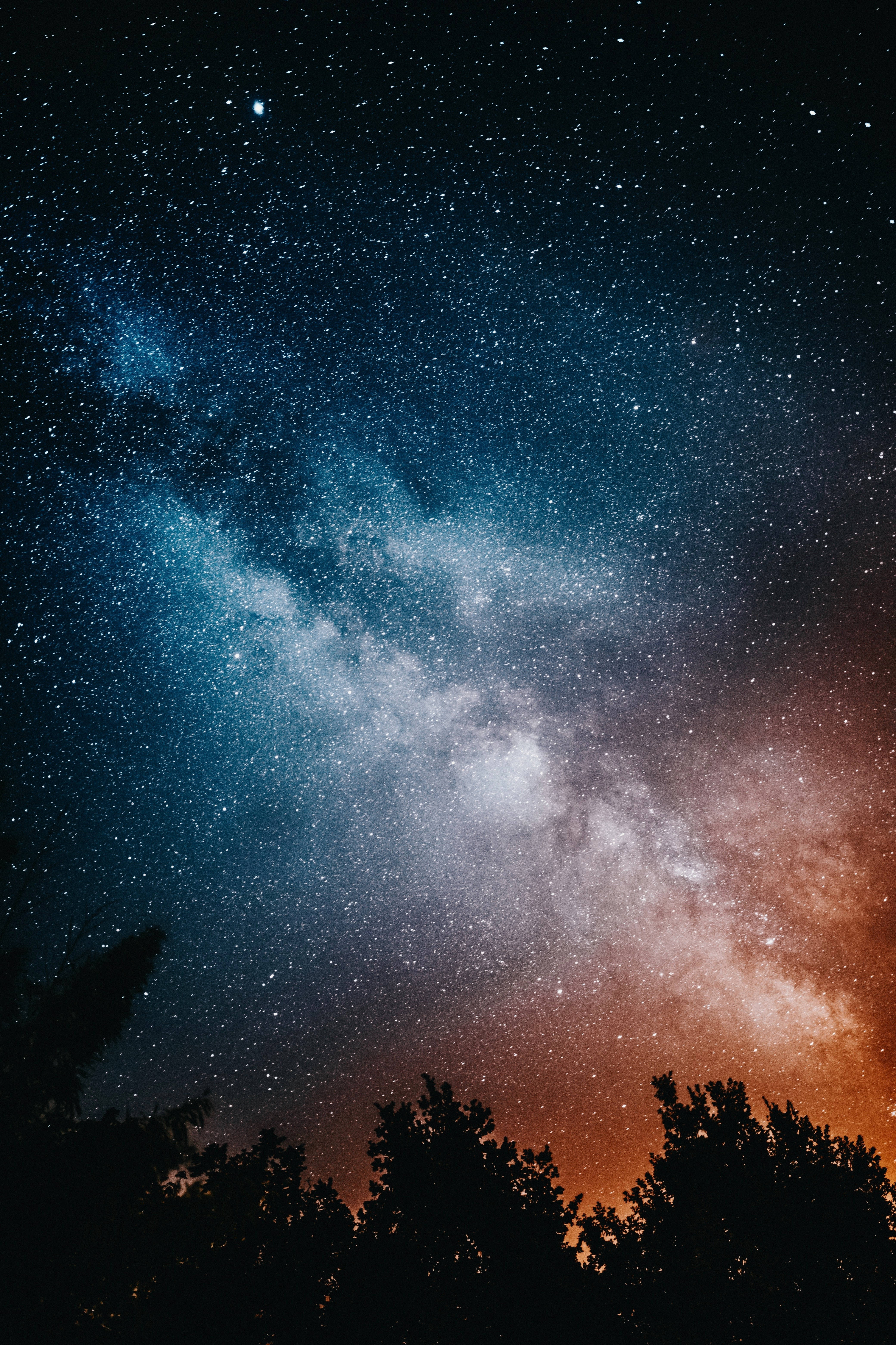 Stars 桌布 壁紙 — 令人嘆為觀止的銀河系景觀，在繁星點點的夜空下，越過剪影般的樹梢拱起。