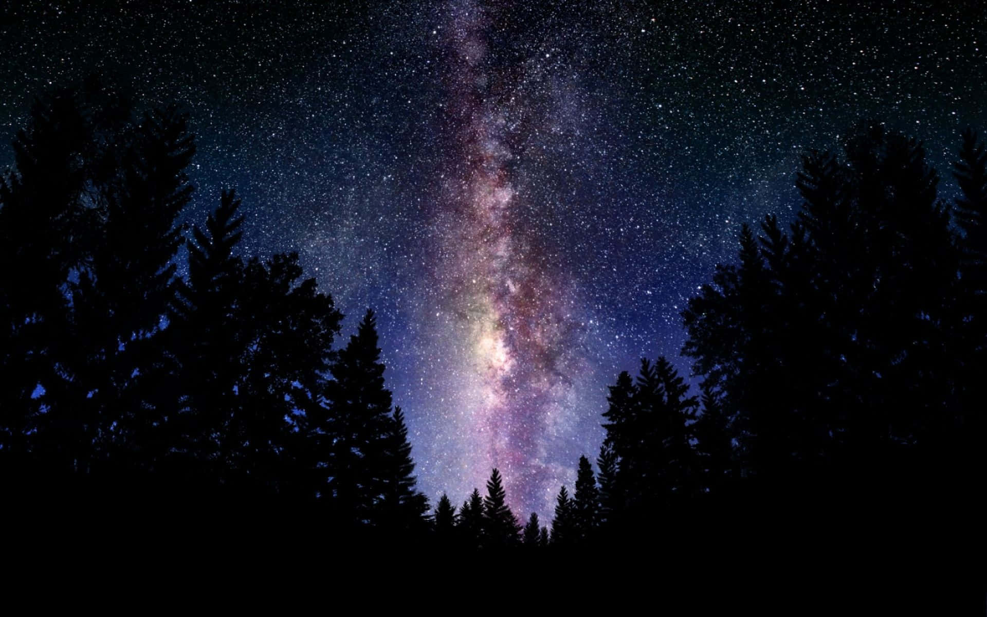 Stars 桌布 壁紙 — 令人嘆為觀止的銀河系景觀，在黑暗的松樹剪影上方散發著紫色和藍色光芒。