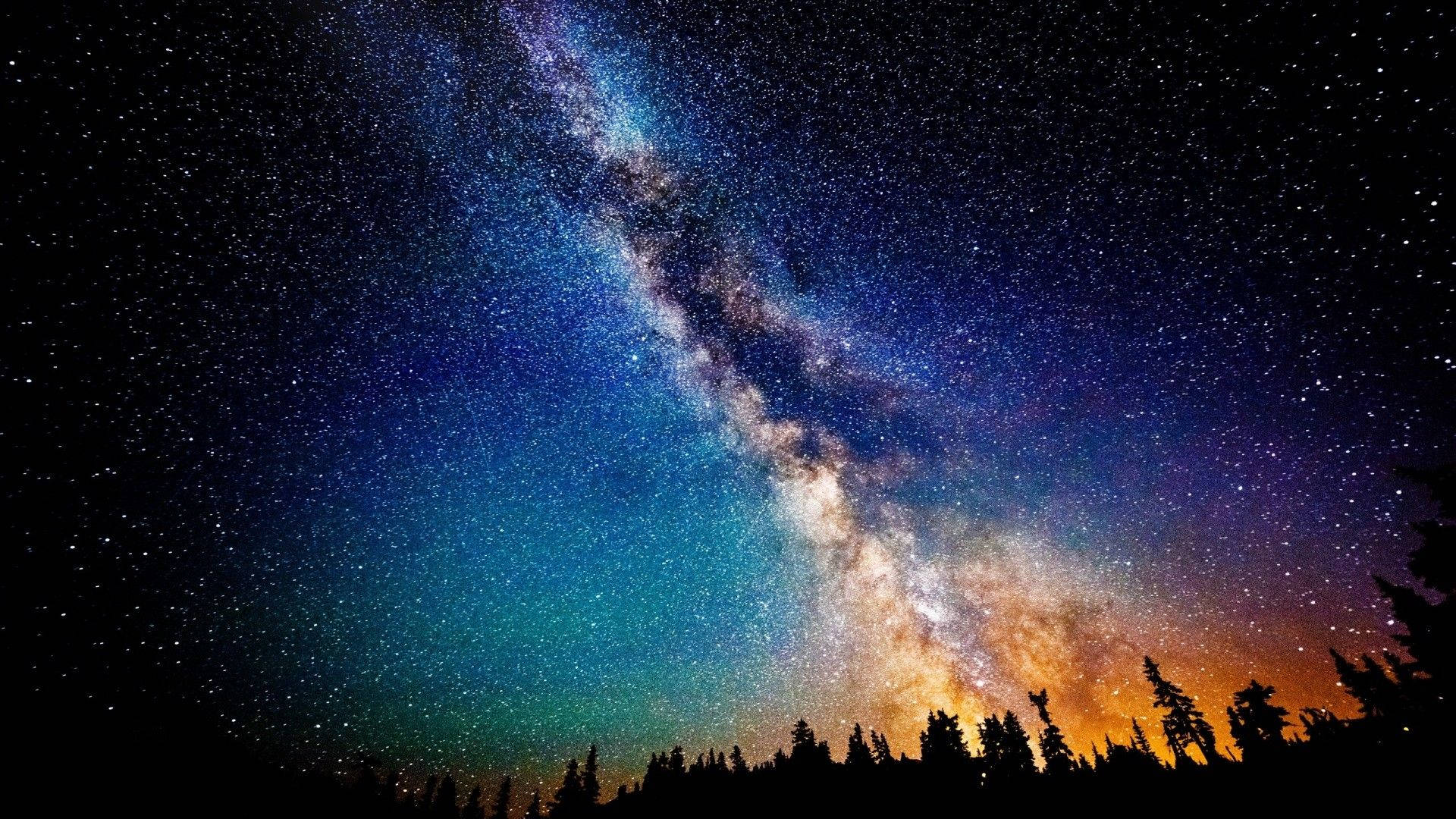 Milky 桌布 壁紙 — 令人嘆為觀止的銀河系景觀，橫跨在松樹剪影之上的星空夜空。