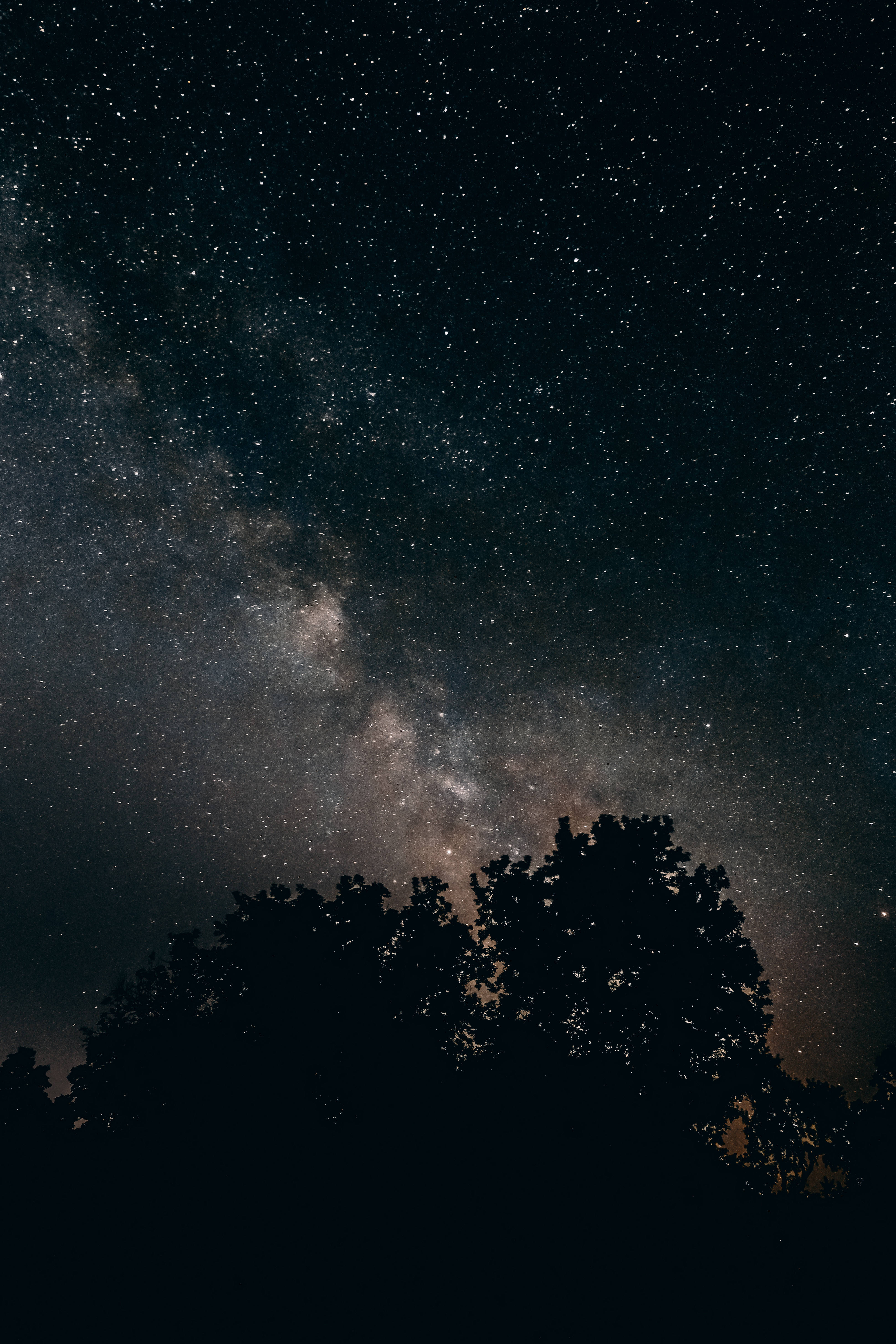 Milky 桌布 壁紙 — 令人嘆為觀止的銀河系景觀，橫跨在佈滿星星的夜空之上，下方是茂密樹梢的黑暗剪影。