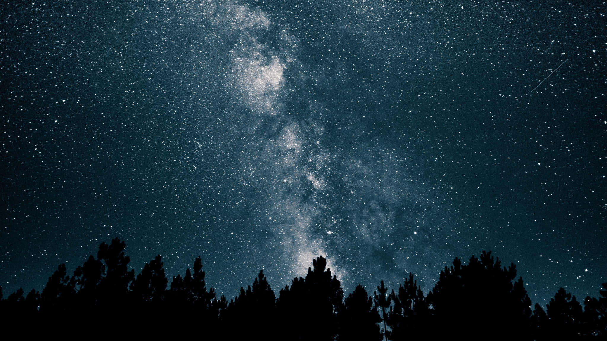 Aesthetic Night Sky 桌布 壁紙 — 令人嘆為觀止的銀河系景觀，橫跨深藍色夜空，下方是松樹的黑色剪影。