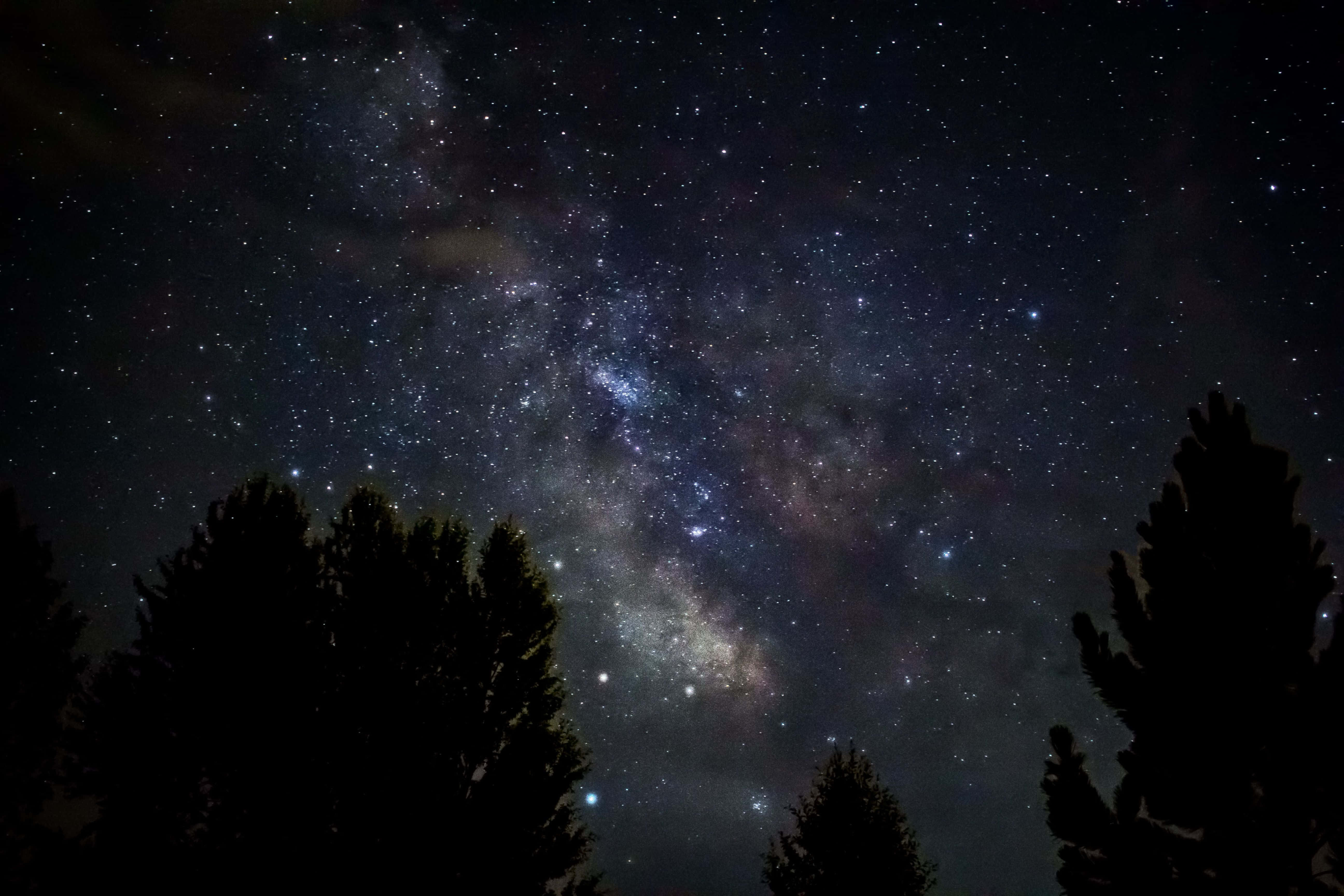 桌布 壁紙 — 令人嘆為觀止的銀河系景觀，無數星星在松樹的黑暗剪影上方閃耀。