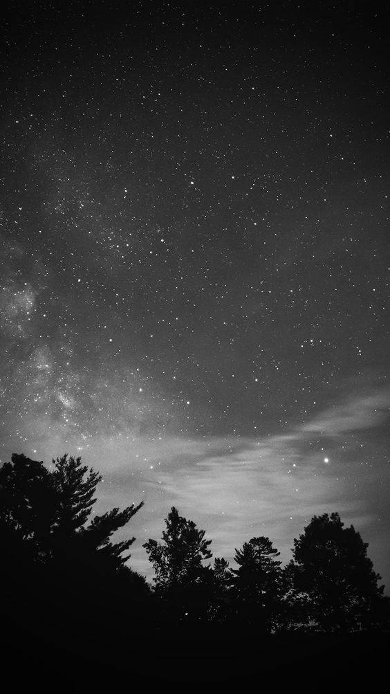 夜空 桌布 壁紙 — 令人嘆為觀止的黑白夜空，充滿無數星星和銀河，拱形跨越剪影的松樹。